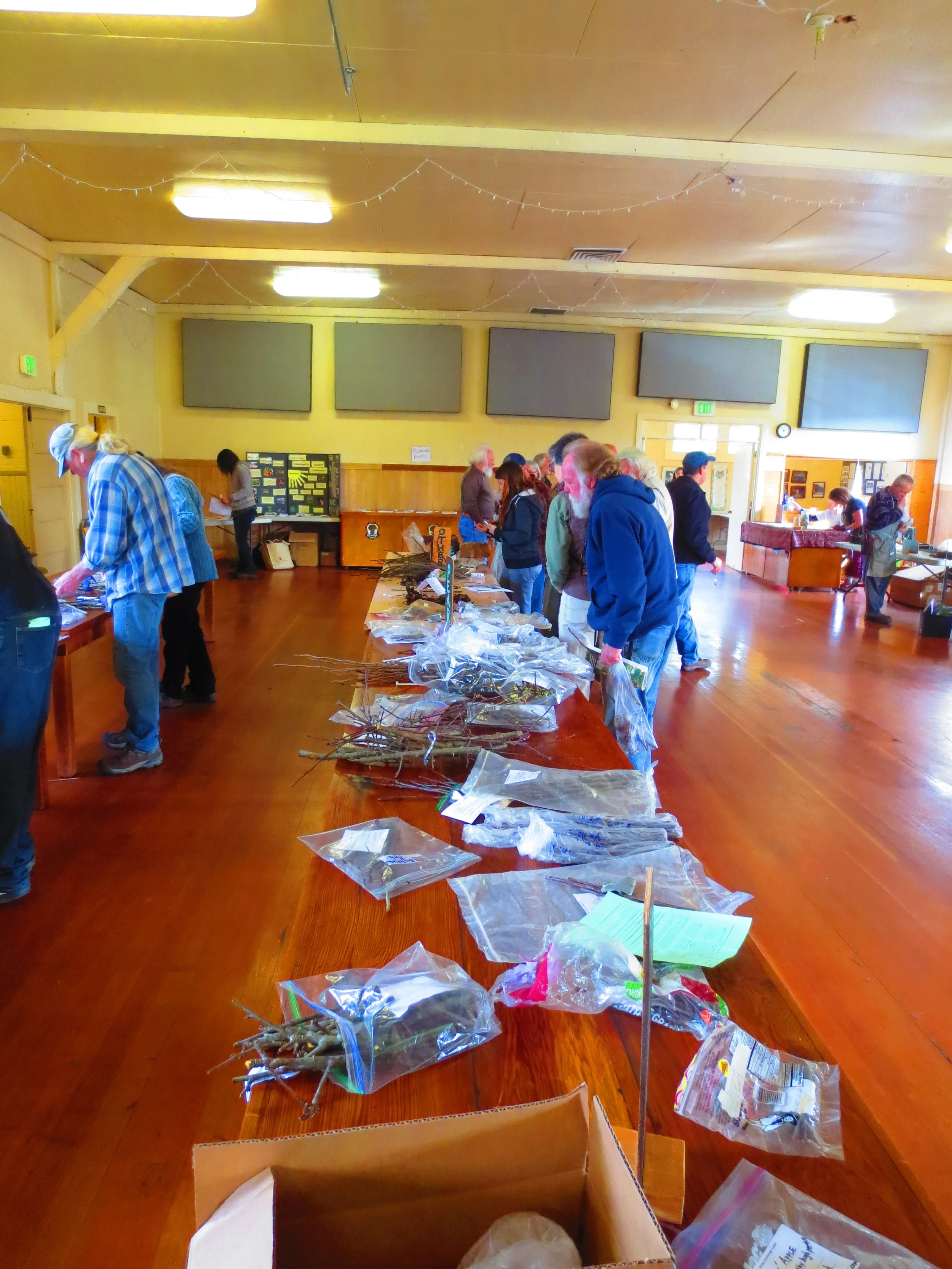 A look at the 2016 Humboldt Permaculture Guild Scion Exchange