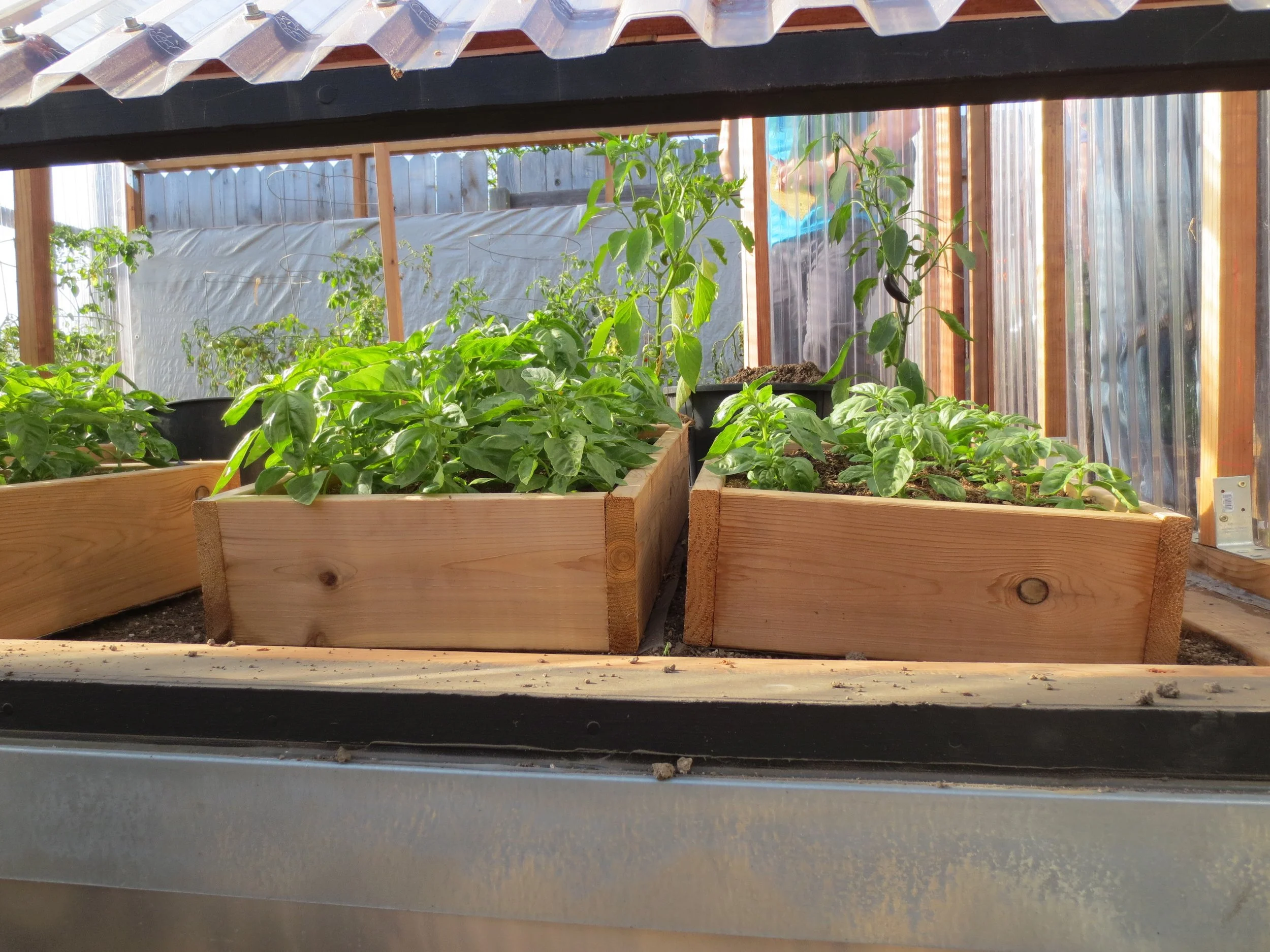 Take a look at photos from the Humboldt Permaculture Guild's Garden Tour in 2016