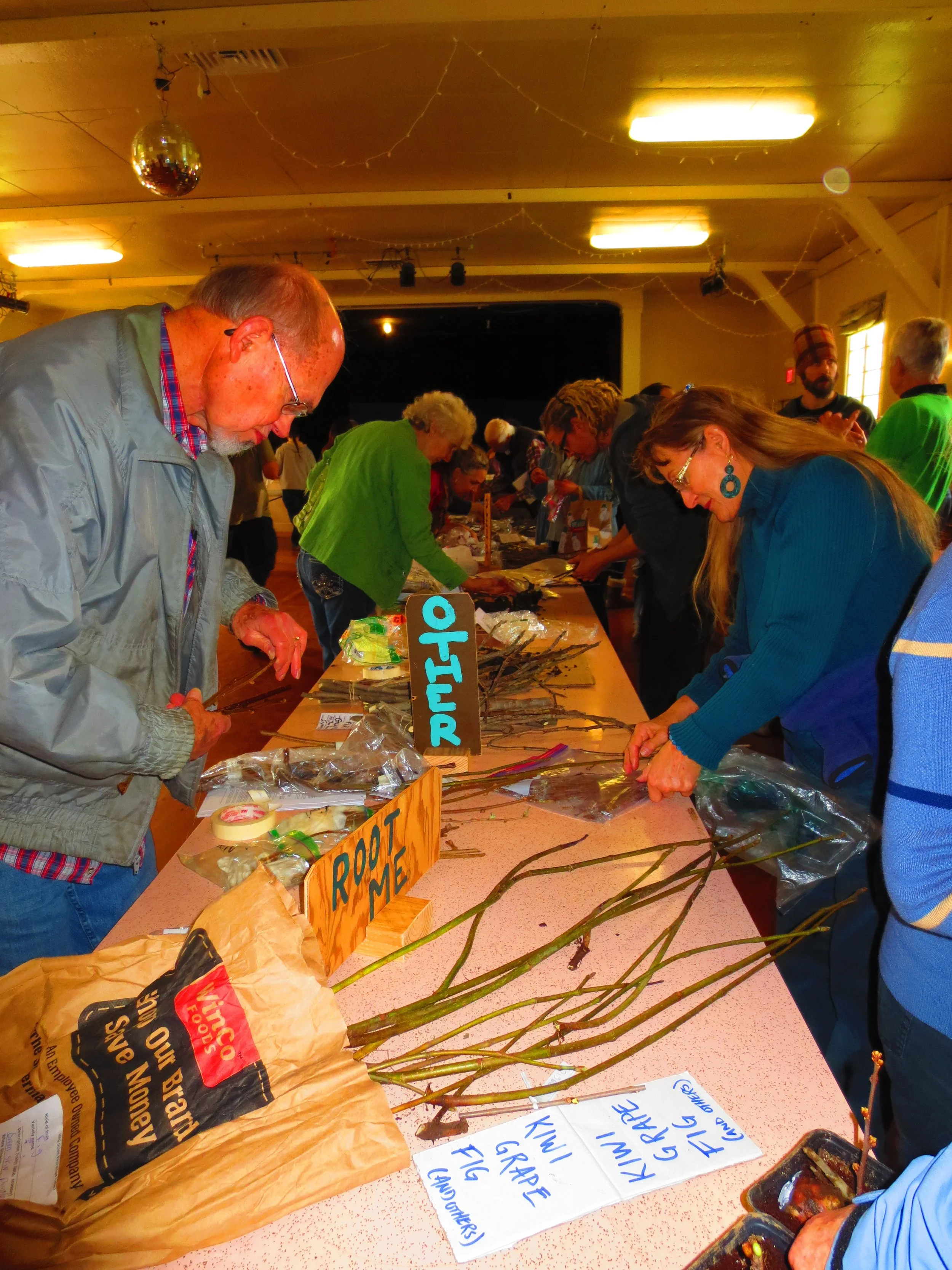 A look at the 2016 Humboldt Permaculture Guild Scion Exchange