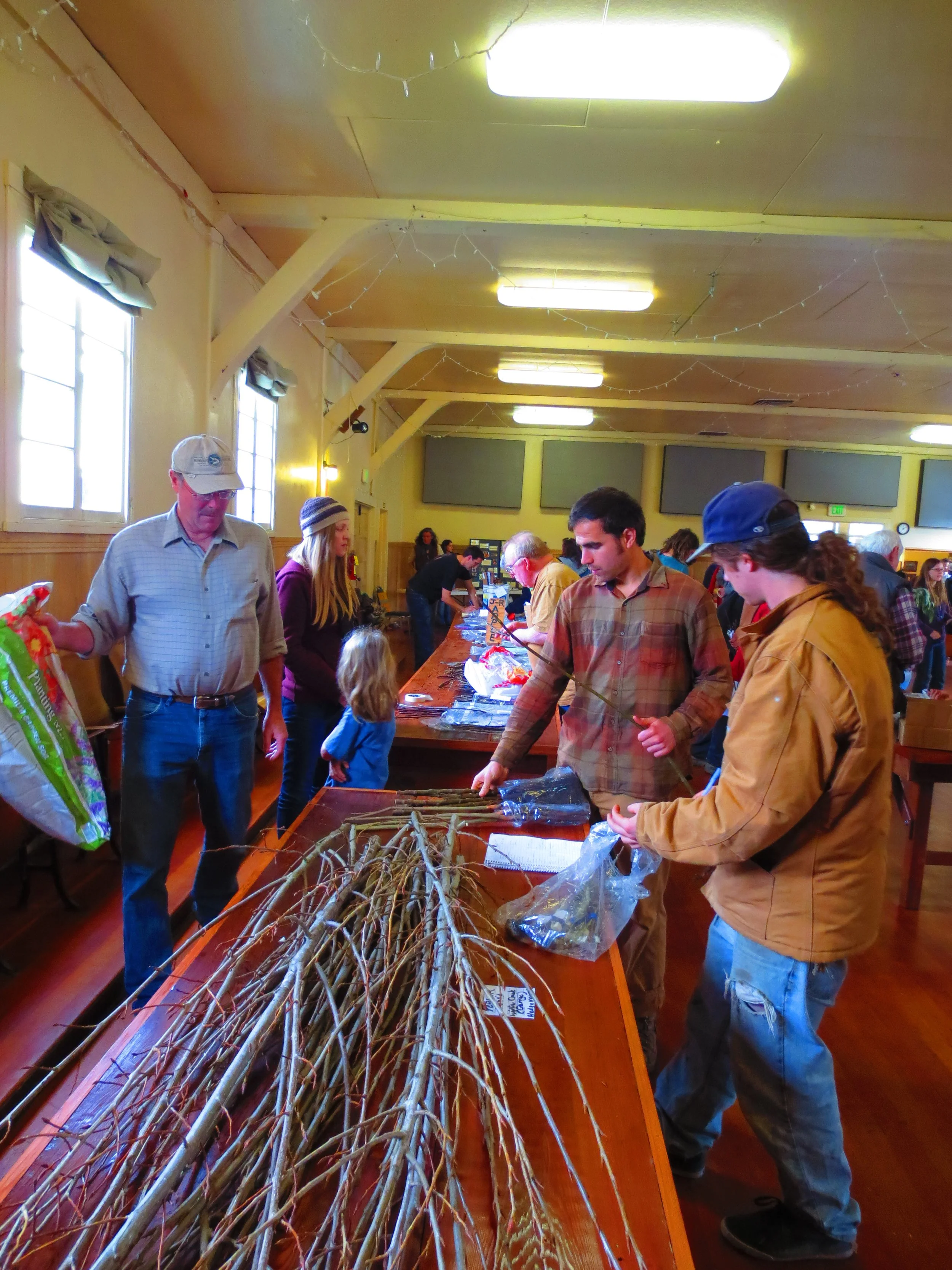 A look at the 2016 Humboldt Permaculture Guild Scion Exchange