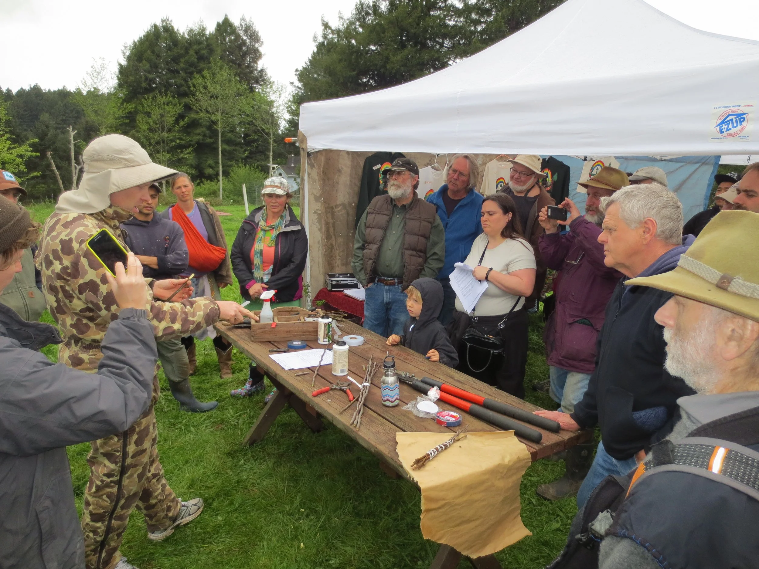 Past Humboldt Permaculture Guild fruit tree grafting workshop