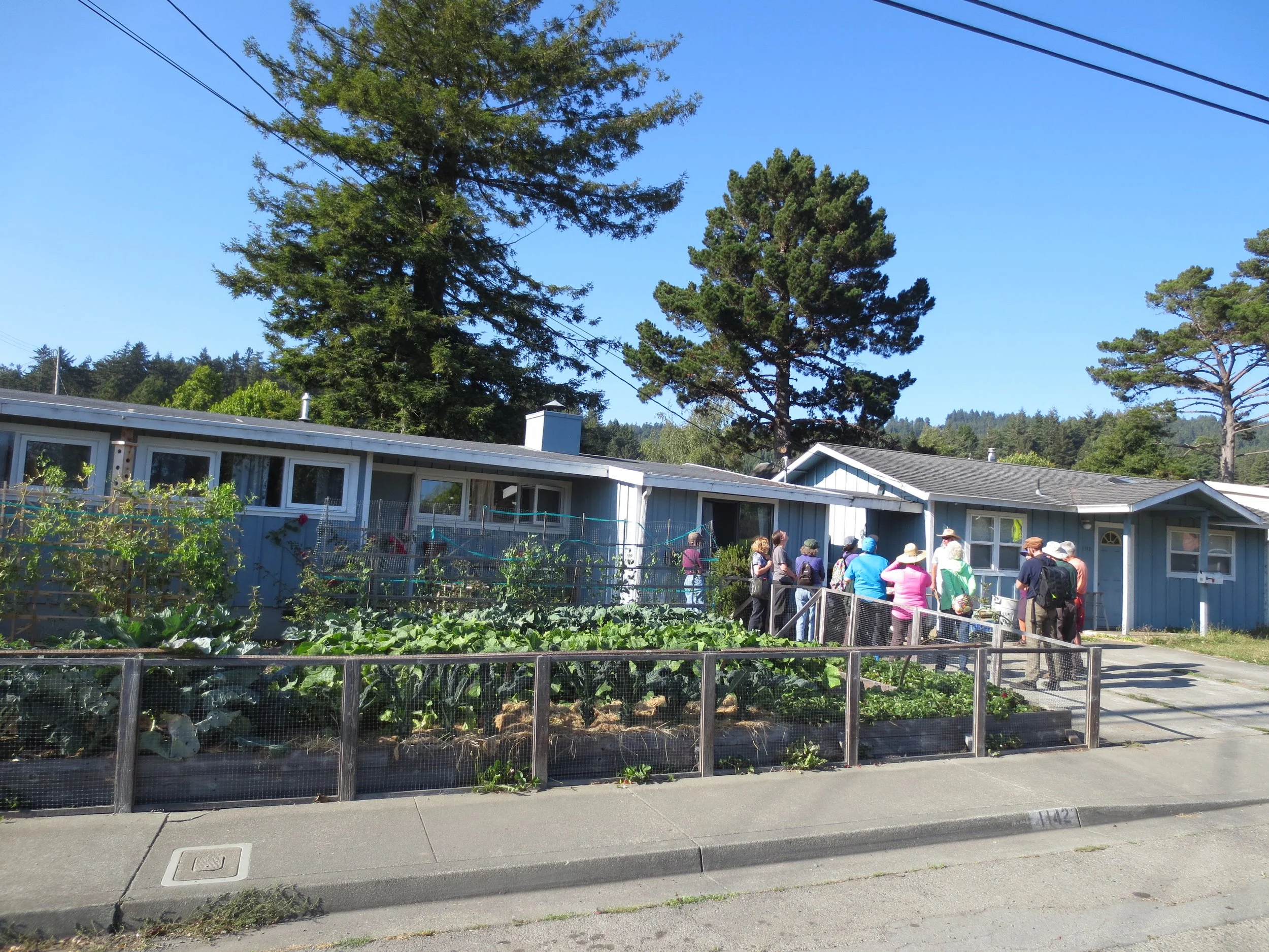 Take a look at photos from the Humboldt Permaculture Guild's Garden Tour in 2016