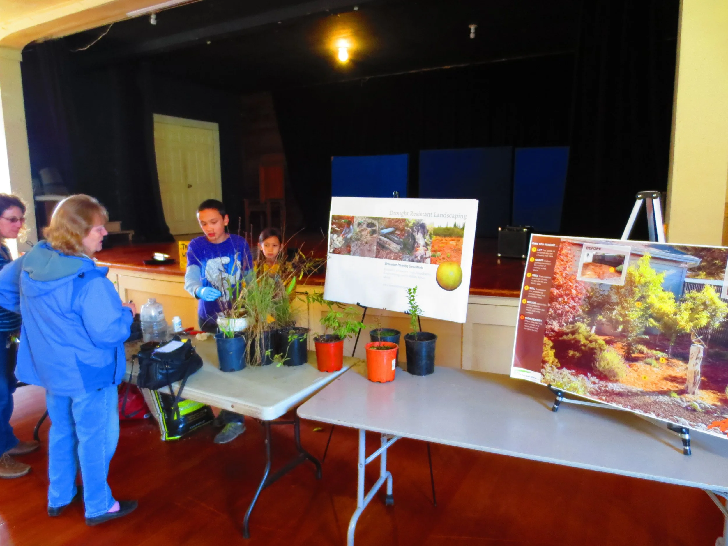 A look at the 2016 Humboldt Permaculture Guild Scion Exchange