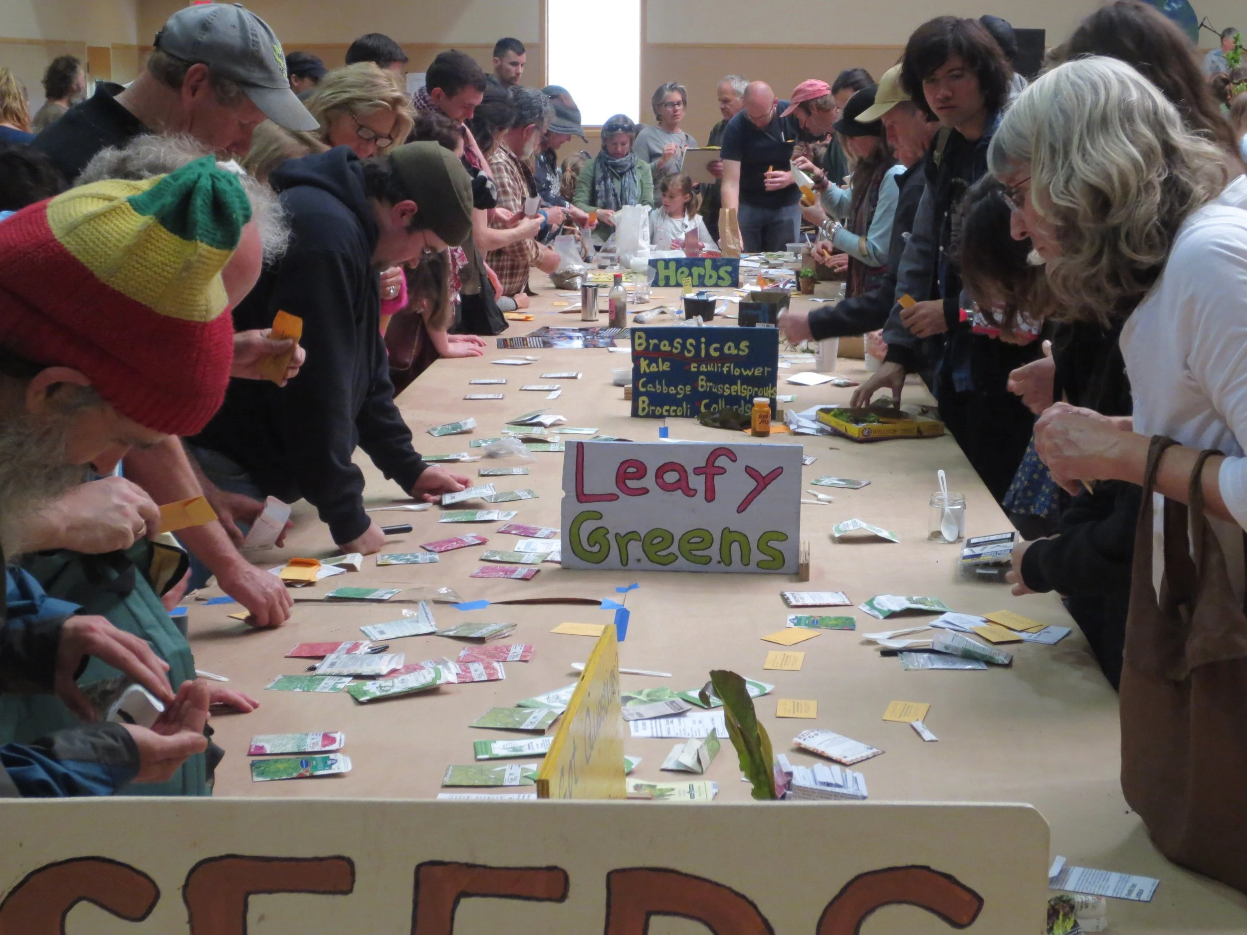 Photos of the Humboldt Permaculture Guild's 2015 Seed & Plant Exchange