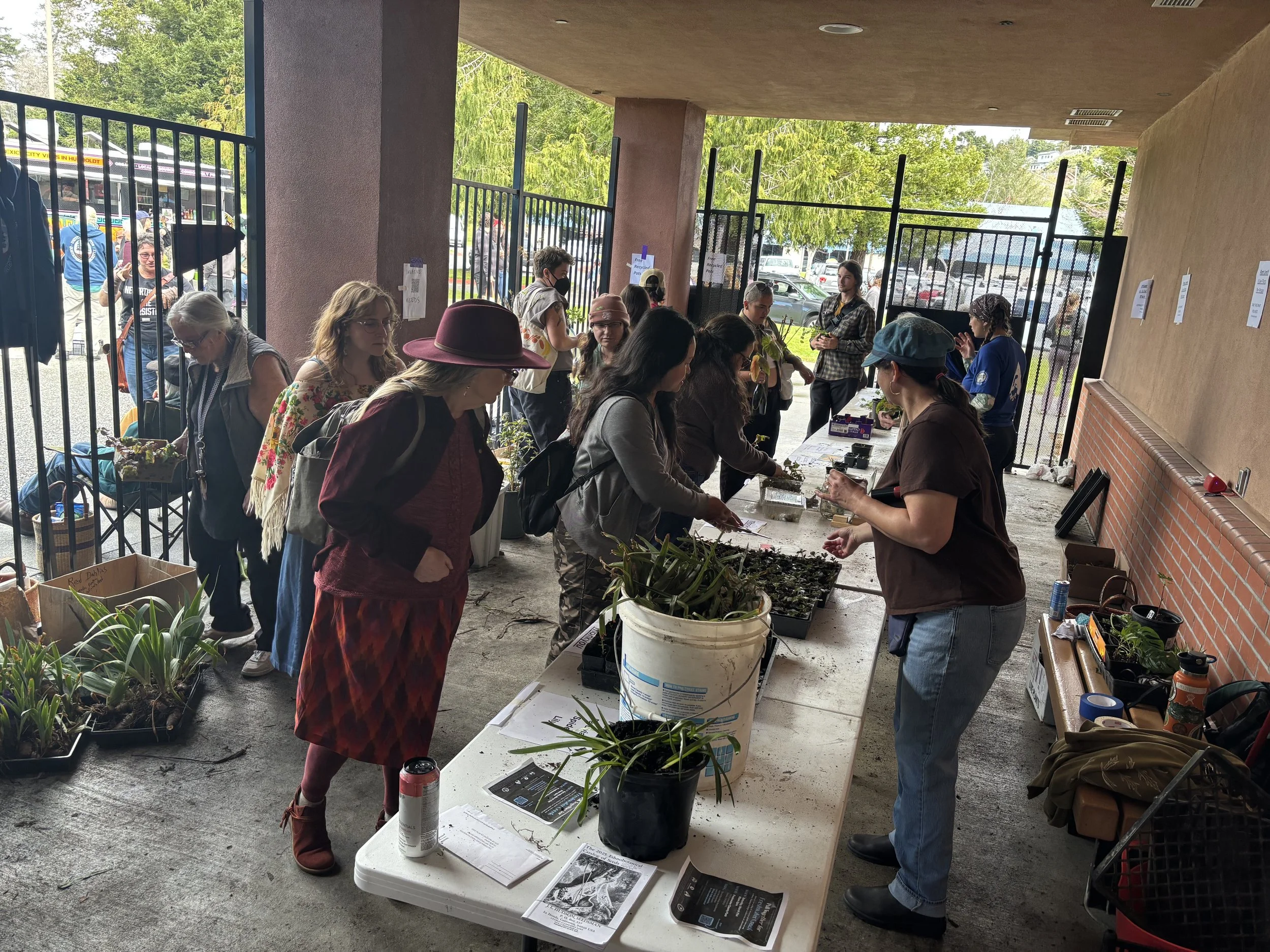 humboldt-permaculture-guild-seed-plant-exchange-2026-arcata-ca10.jpeg