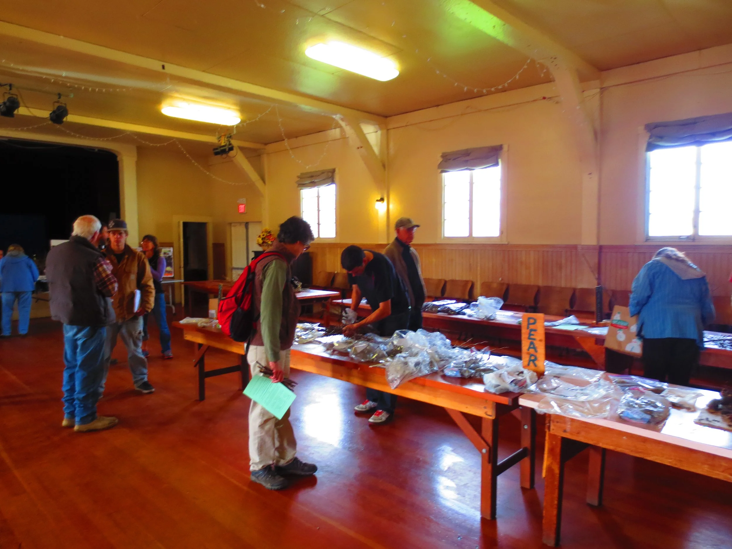 A look at the 2016 Humboldt Permaculture Guild Scion Exchange