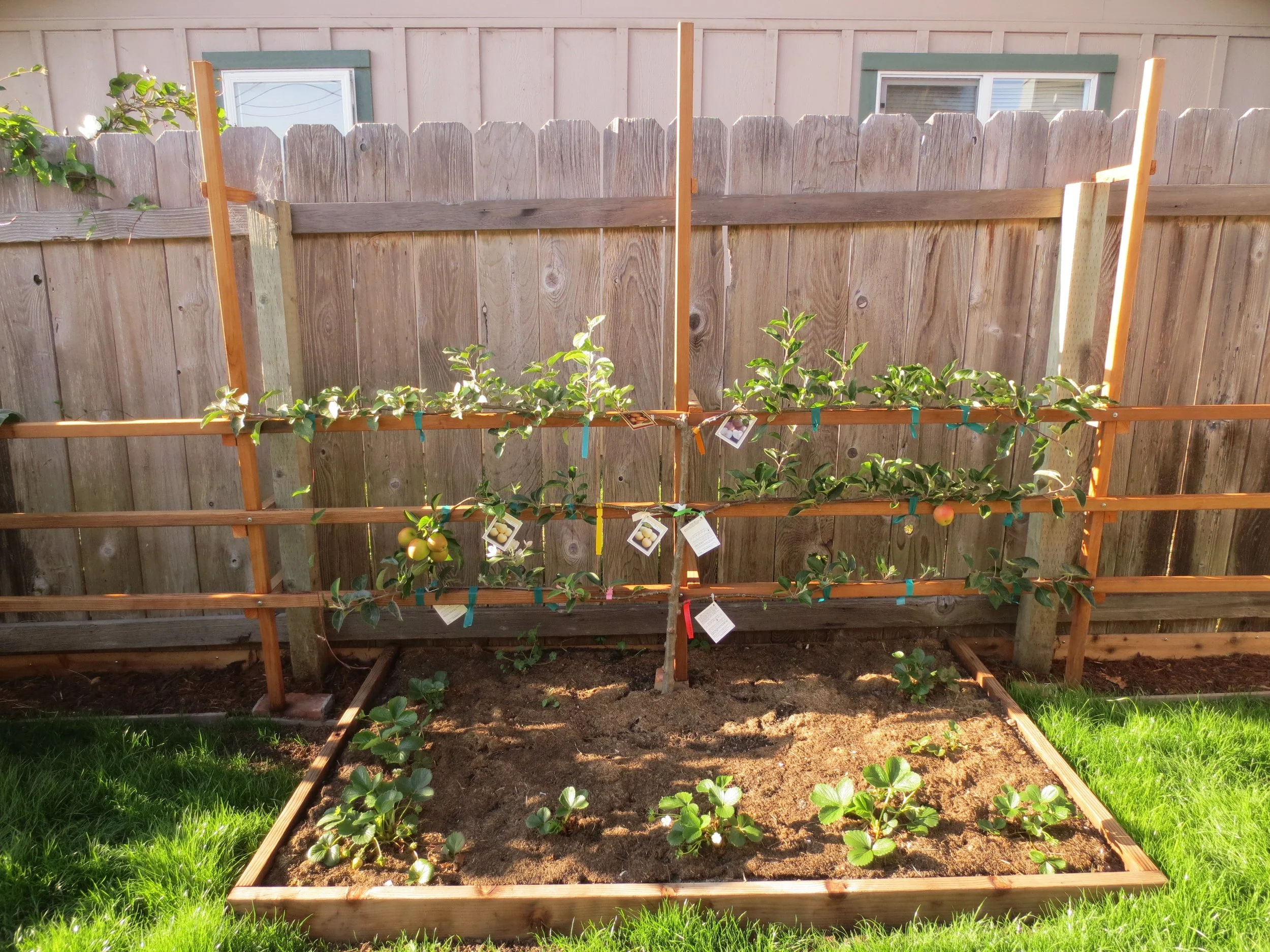 Take a look at photos from the Humboldt Permaculture Guild's Garden Tour in 2016
