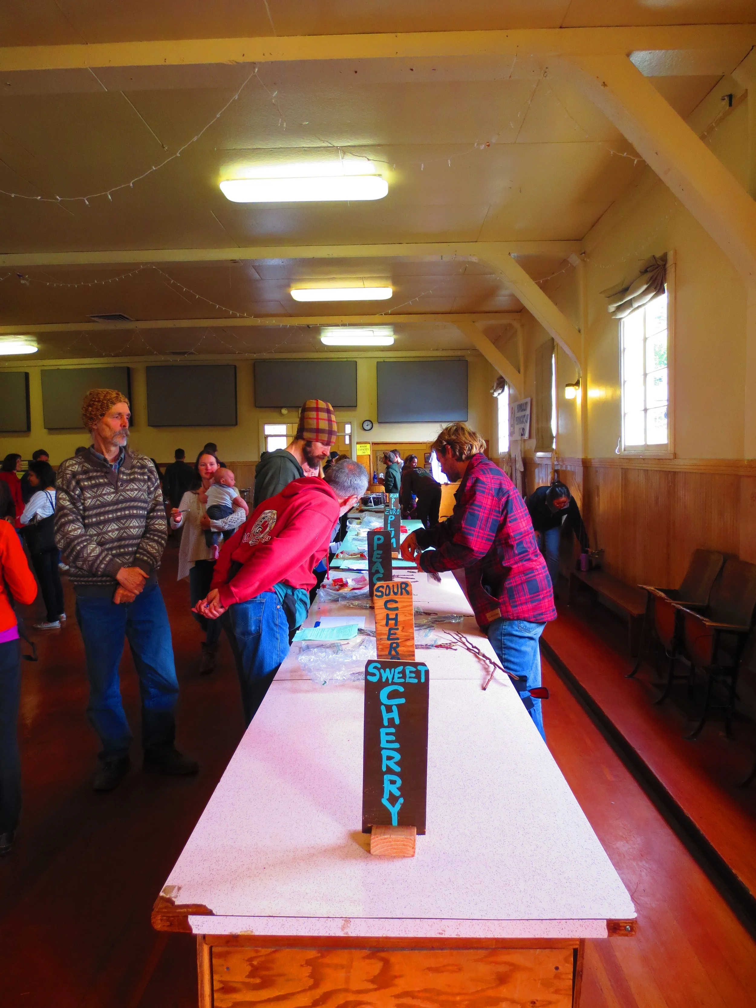 A look at the 2016 Humboldt Permaculture Guild Scion Exchange