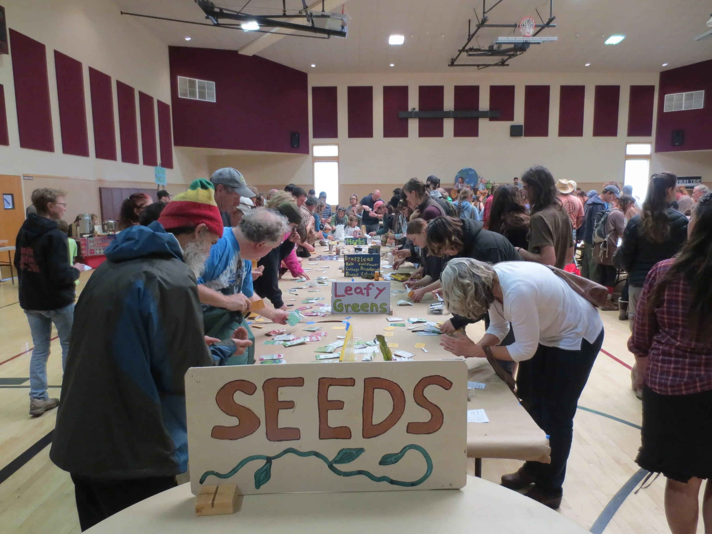 Photos of the Humboldt Permaculture Guild's 2015 Seed & Plant Exchange