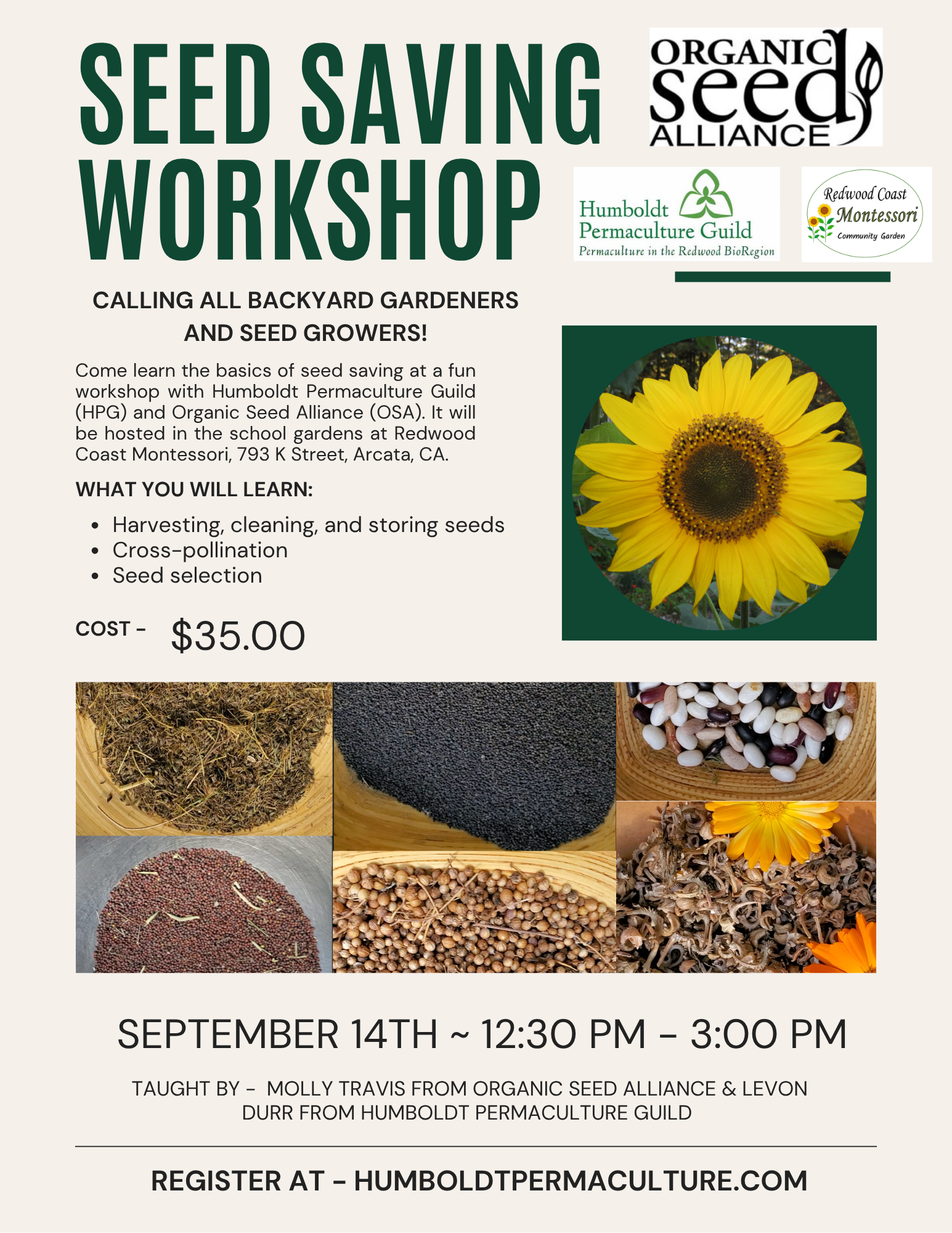 Beige Green Bold Workshop Event Flyer.png