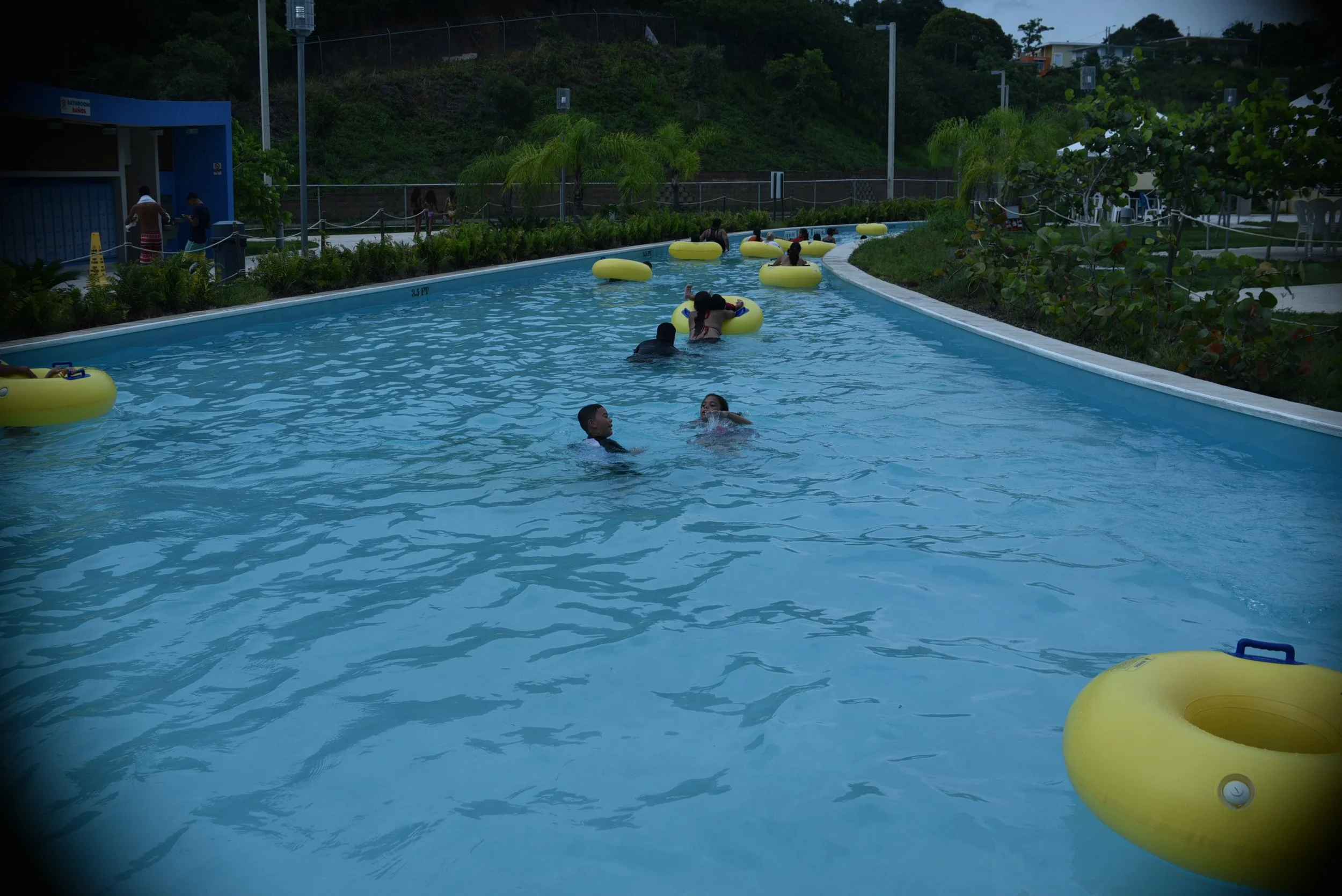 7WH_7146.JPG