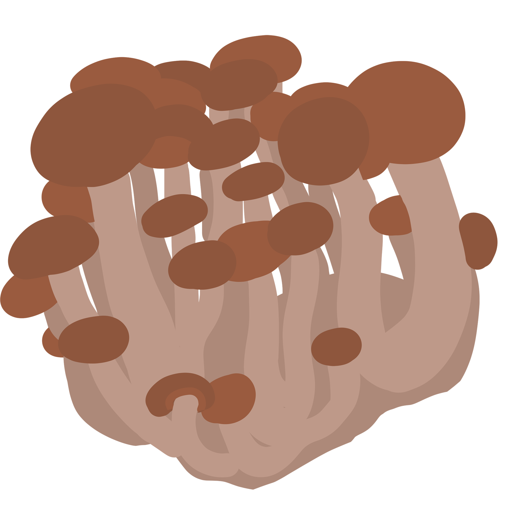 mushrooms.png