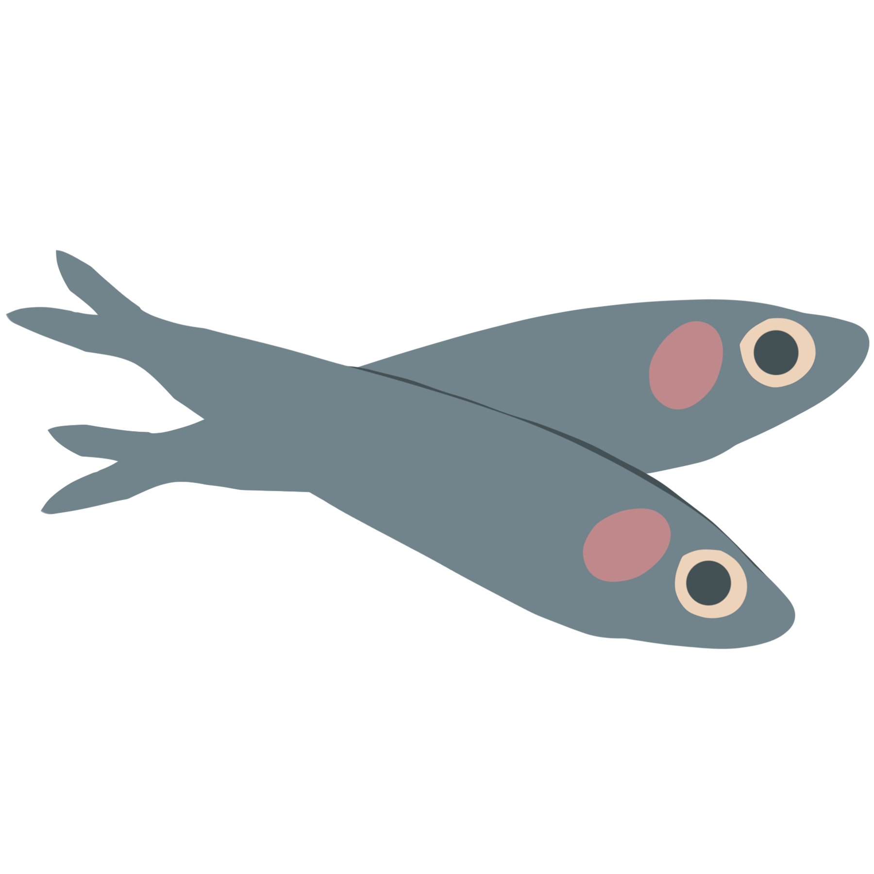 anchovies.png