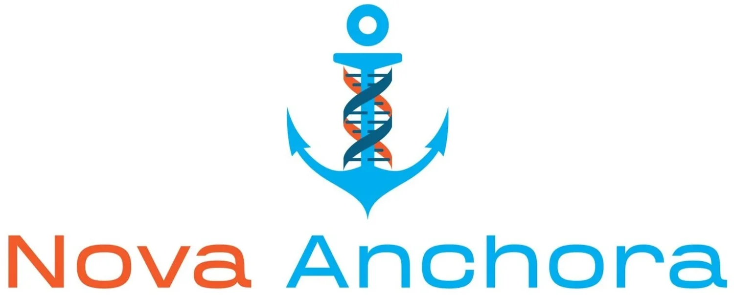 Nova Anchora