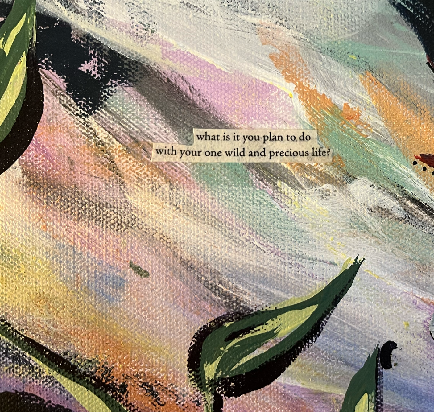 Mary Oliver, The Summer Day