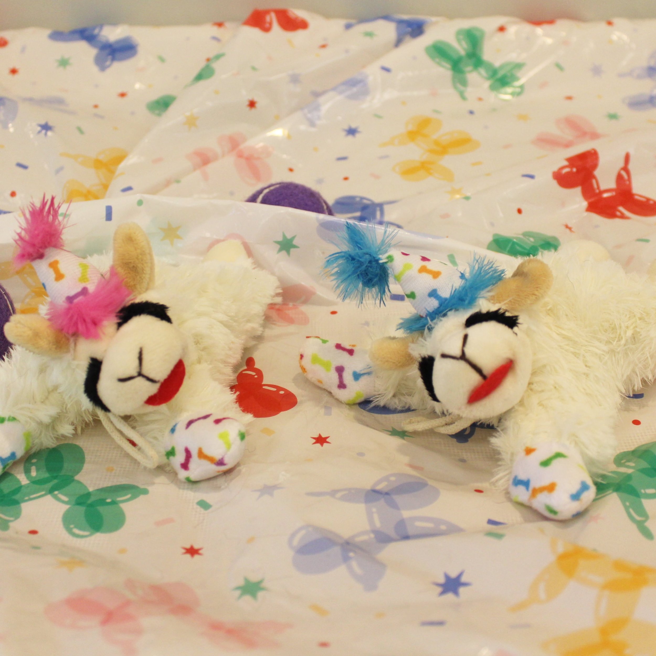 Close-up of a colorful birthday-themed wrapping paper with butterflies and stars, with some small fluffy lambchop toys visible at the edges. at A Place to Paws Luxury Boarding and Doggy Daycare in Bluffton, South Carolina Lowcountry