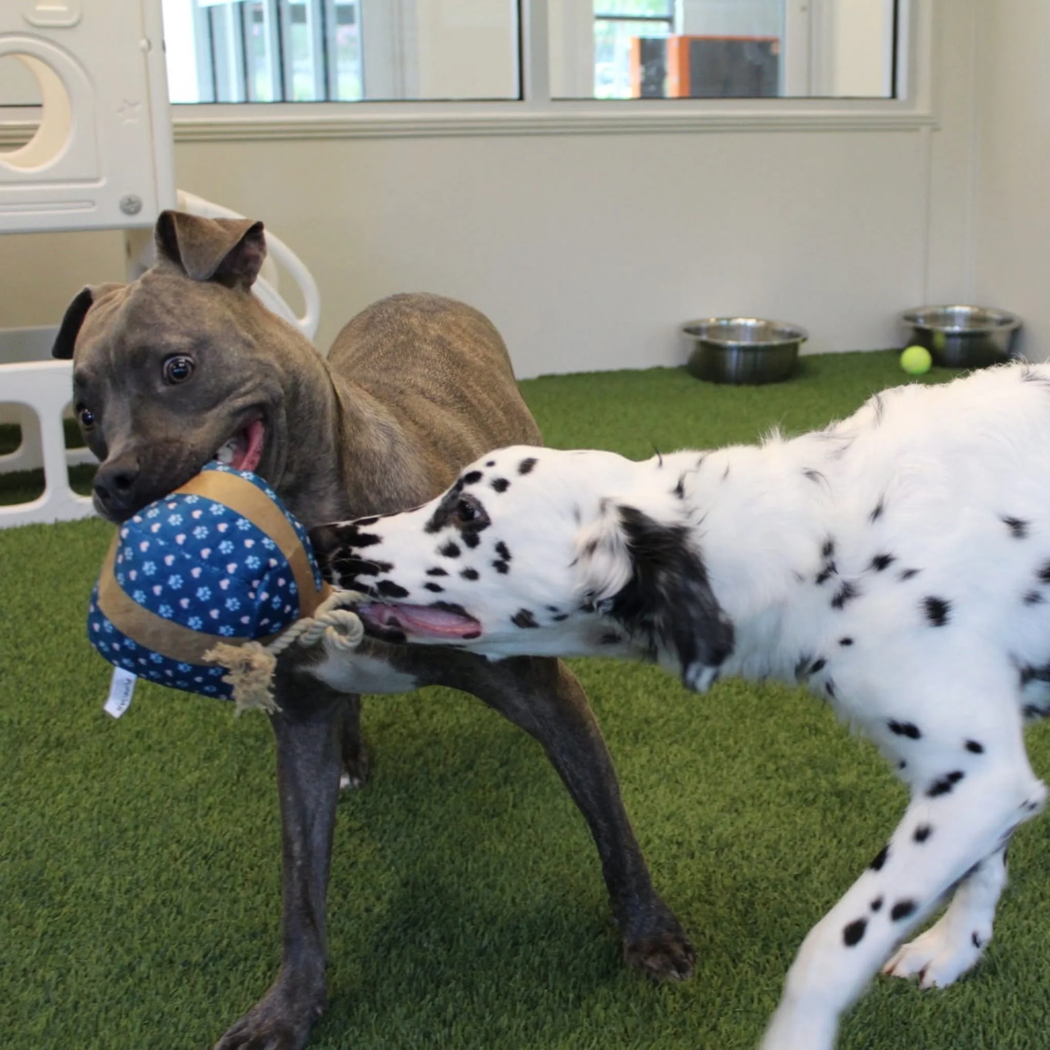 729676465_17897537655533498_6279546514385568393_n.jpg