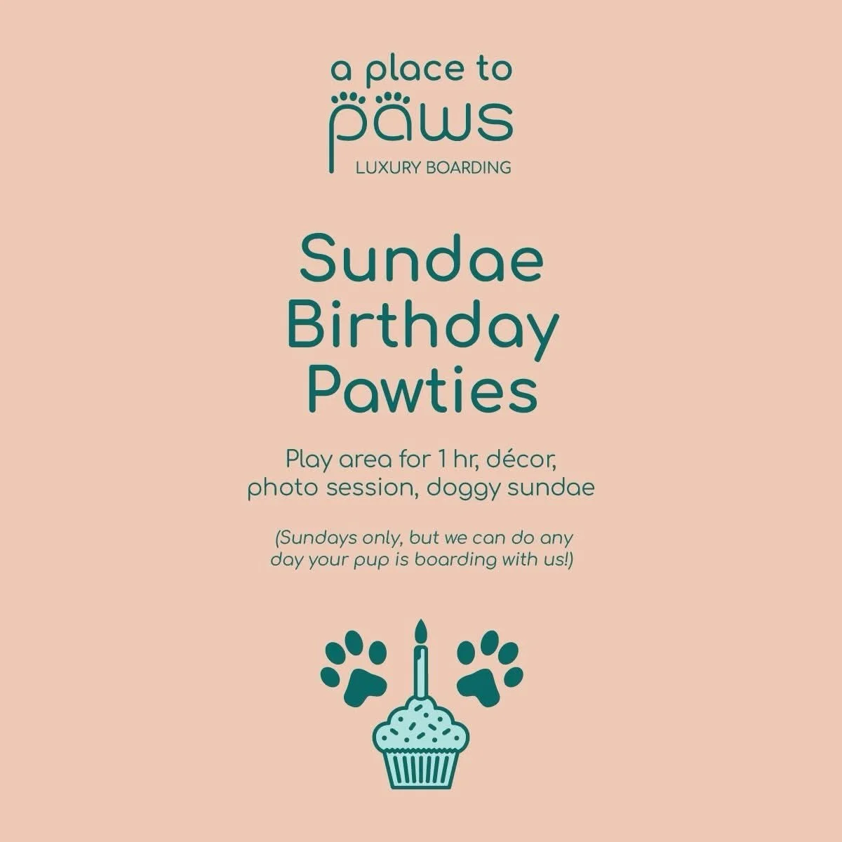 Pink poster advertising a dog-themed birthday party with a cupcake and paw prints, titled 'a place to paws', featuring details about a play area for puppies with photo sessions, decor, and playtime on Sundays. at A Place to Paws Luxury Boarding 