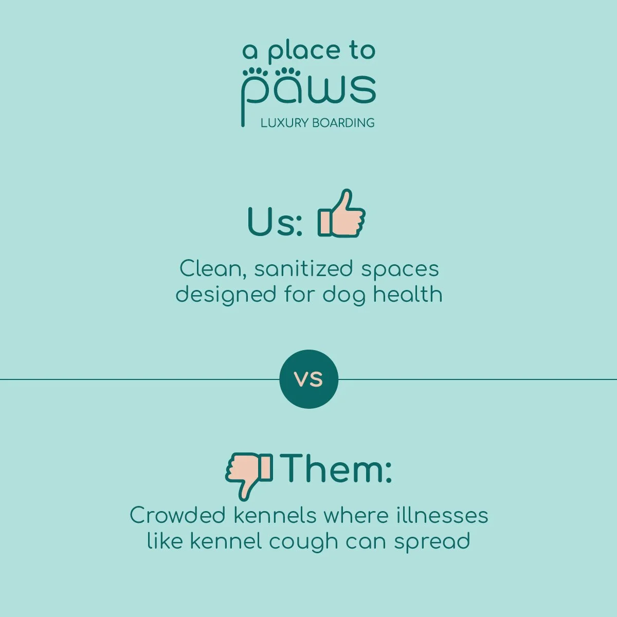 A promotional infographic for a pet boarding service called "a place to paws," highlighting the importance of clean, sanitized spaces for dog health and warning against crowded kennels where illnesses like kennel cough can spread.