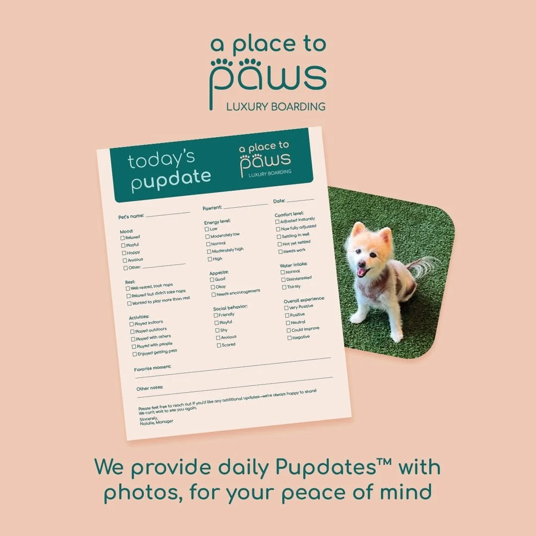 A flier for 'a place to pawa' luxury pet boarding. It features a pet health and behavior update sheet next to a photo of a cute, fluffy, light-colored puppy. The poster states that they provide daily updates with photos for peace of mind.
