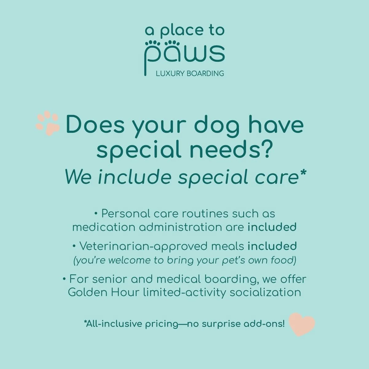 Flyer for a luxury dog boarding service called 'a place to paws,' offering special care including medication routines, veterinarian-approved meals, and socialization activities for seniors and medical needs, with all-inclusive pricing. 