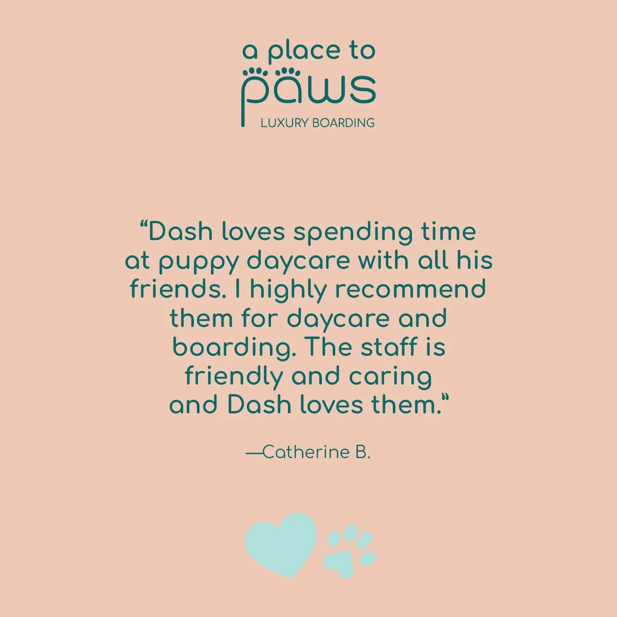 A promotional graphic with a peach background featuring the logo "a place to paws" and the tagline "LUXURY BOARDING." The graphic includes a customer testimonial about puppy daycare and boarding, with a light blue heart and paw print at the bottom.