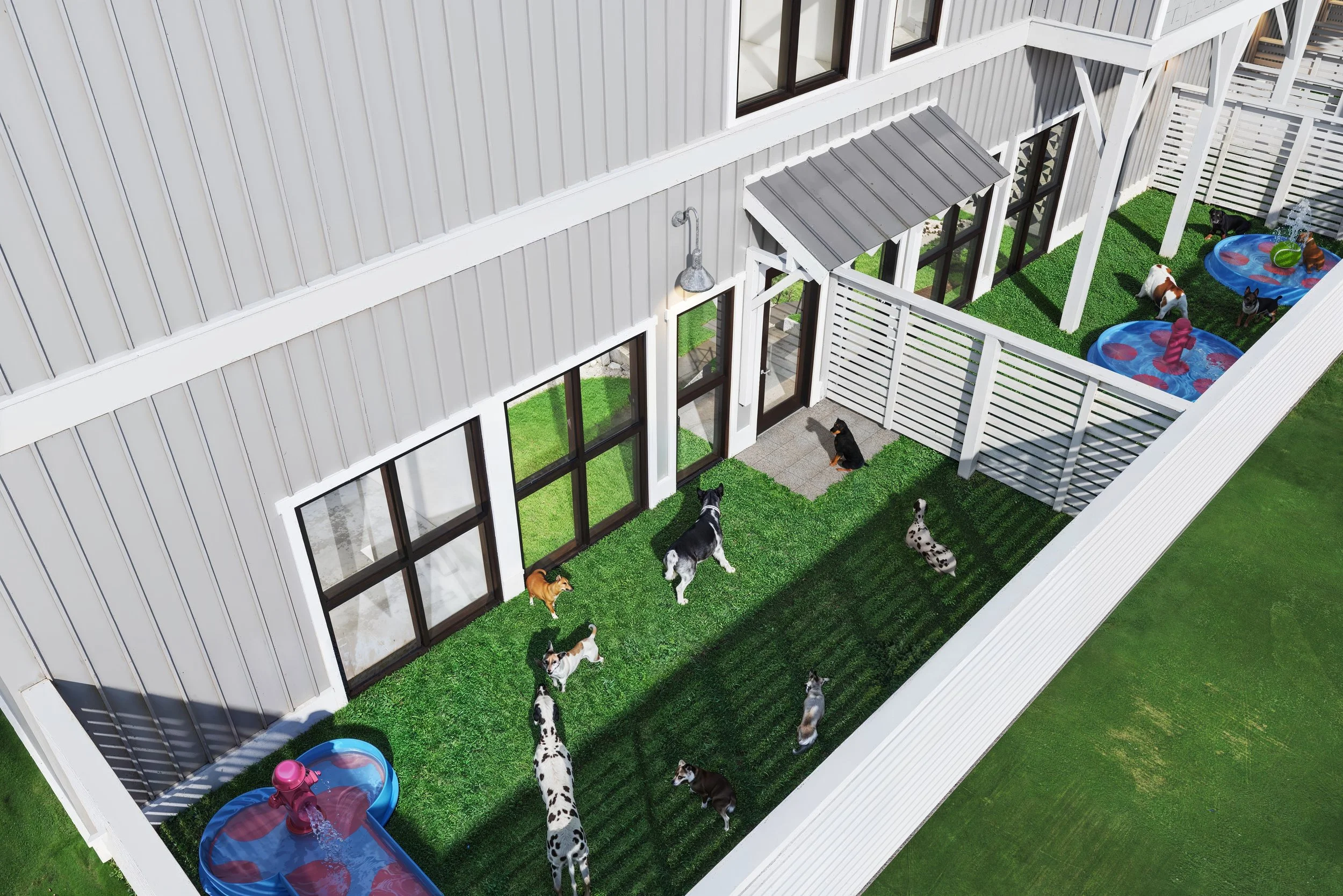 Bird's eye view of a fenced backyard with dogs and cats playing on artificial grass, including small pools and a dog house. The view is of "A Place To Paws Luxury Boarding", located in Bluffton, SC, where dogs have open play both indoors and outdoors