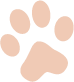A close-up of a light-colored paw print on a dark surface.  A Place To Paws Luxury Boarding and Doggy Daycare in Bluffton, South Carolina