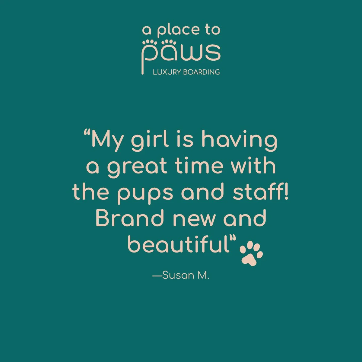 Inspirational quote about enjoying time with puppies at a luxury pet boarding facility, with a teal background and white text. A Place To Paws Luxury Boarding and Doggy Daycare in Bluffton, South Carolina