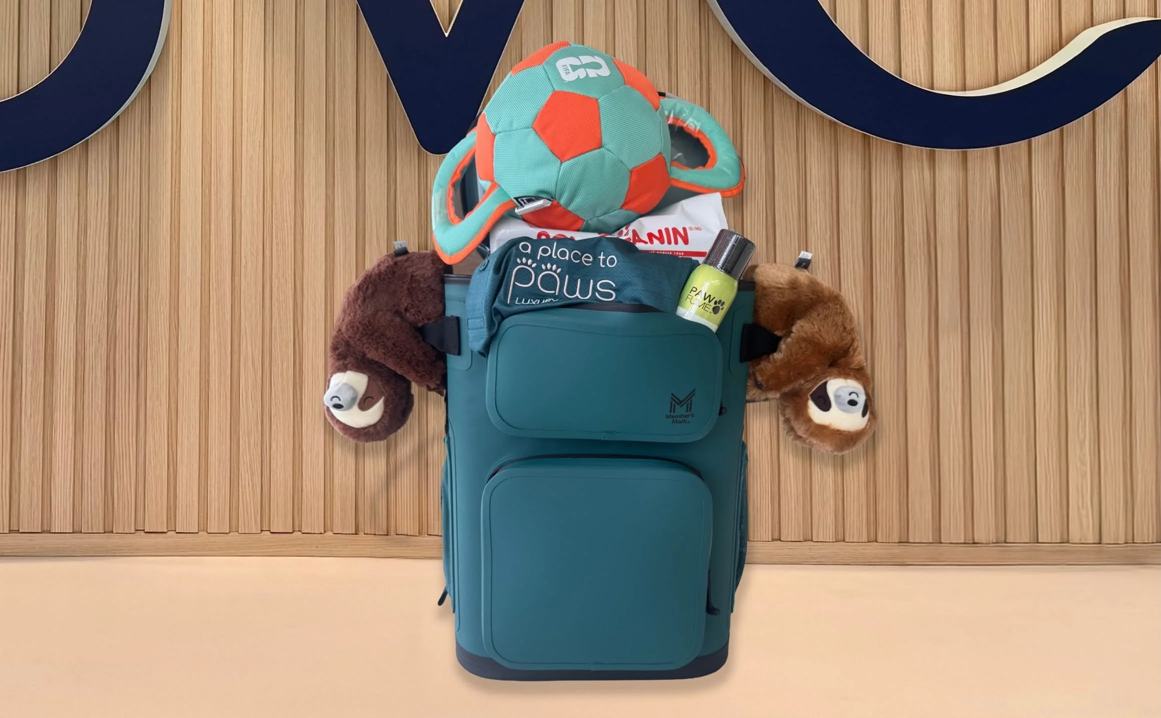 A photo of a BVC pet month prize, including two plush sloths, a small cooler, a shirt with the phrase 'a place to paws,' a yellow spray bottle, a bag of dog food, a gift certificate, and a small toy ball with orange and turquoise panels. 