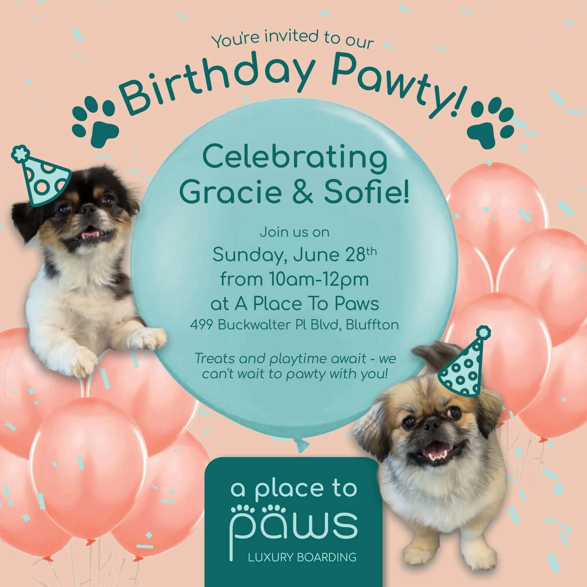 Birthday party invitation featuring pink balloons, a puppy, and confetti, with text inviting to celebrate at A Place to Paws Luxury Boarding and Doggy Daycare in Bluffton, South Carolina Lowcountry