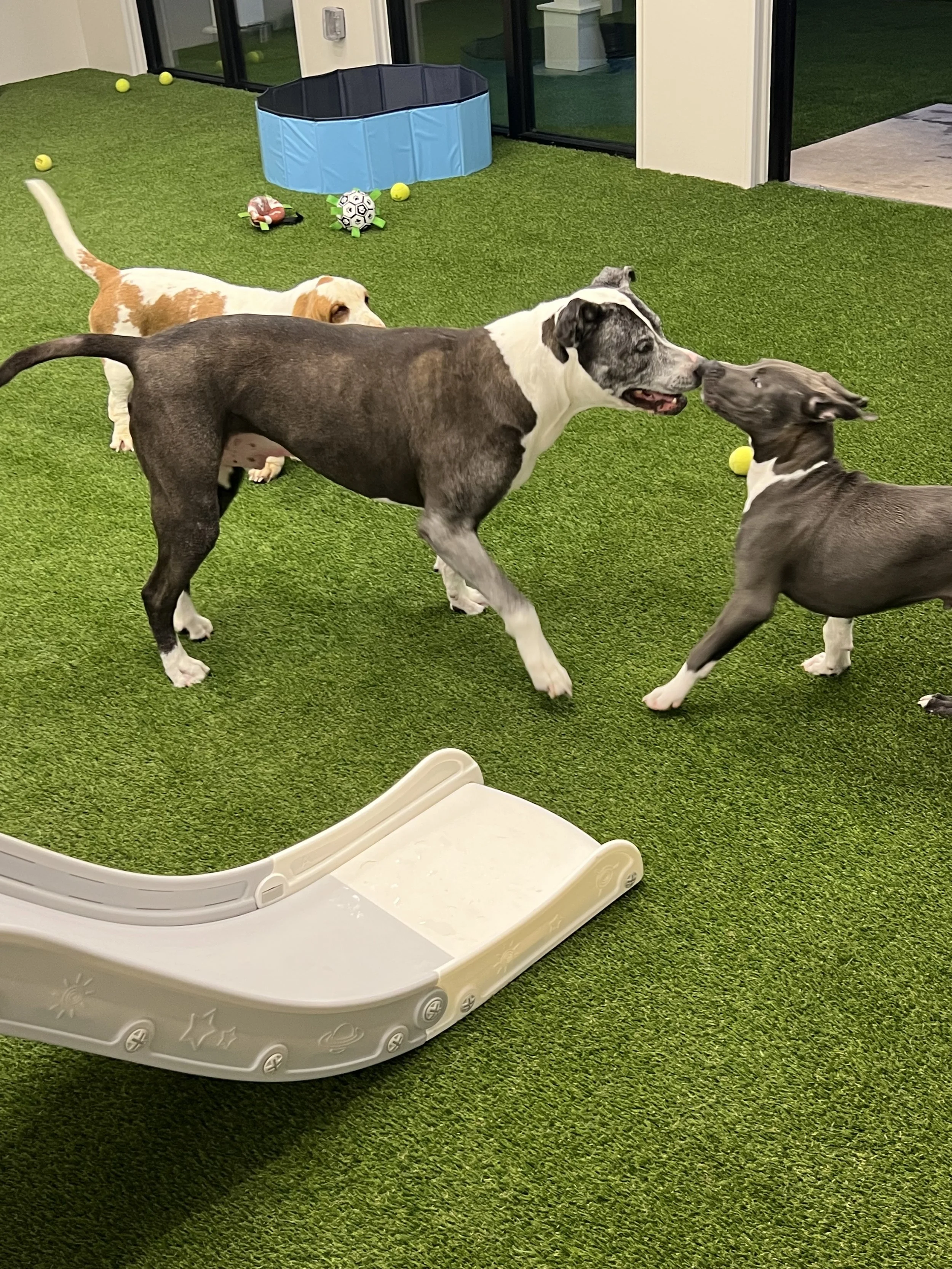 IMG_7898.jpeg