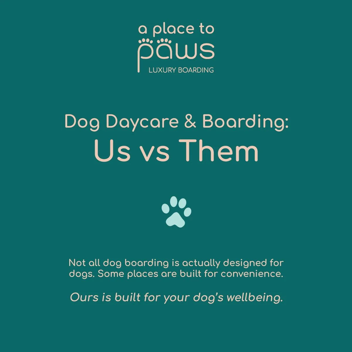 Flyer for a dog daycare and boarding service called "a place to paws," comparing their approach to others with the text "Us vs Them" and a paw print icon, emphasizing that their services are built for dogs' wellbeing. A Place To Paws Luxury Boarding 