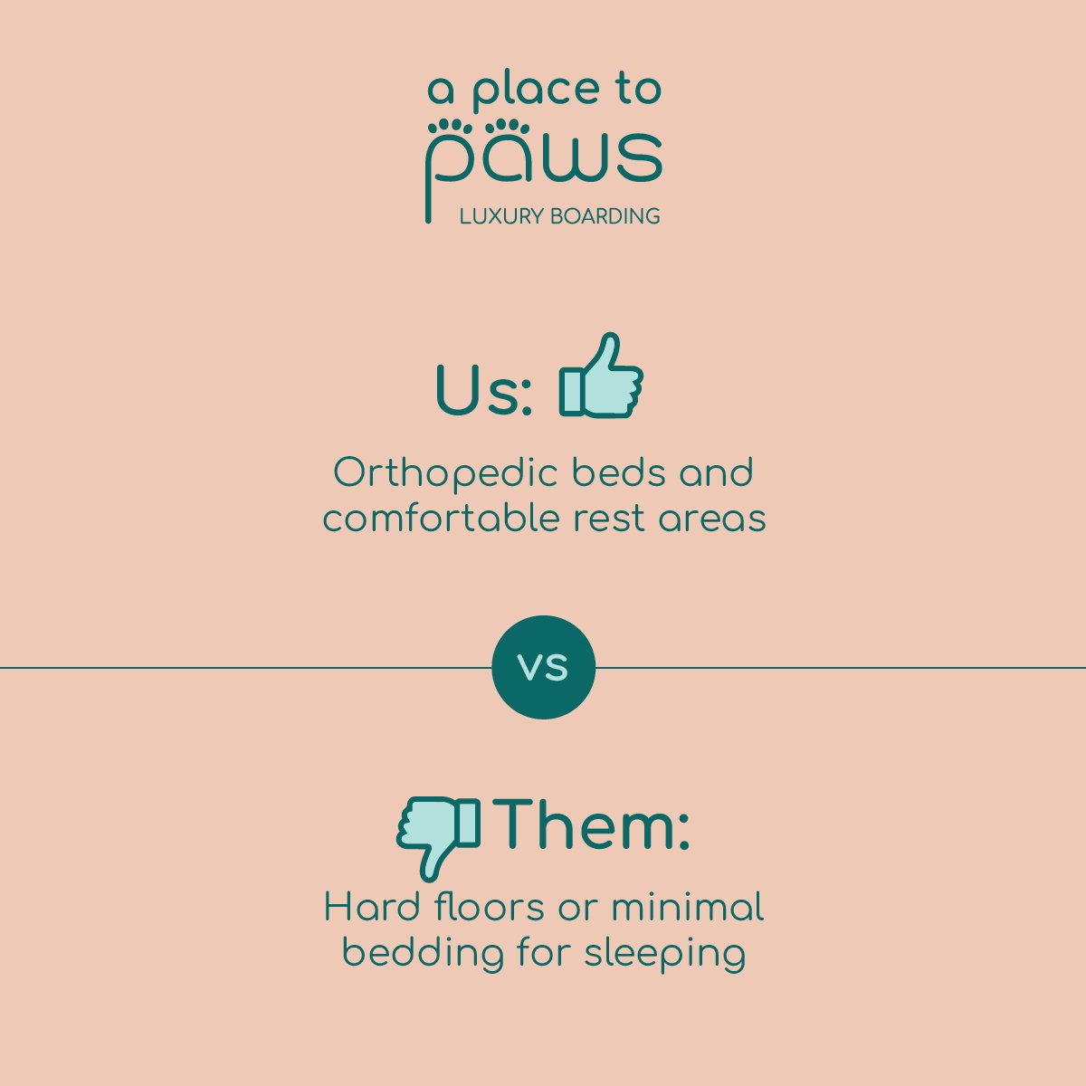 A promotional graphic comparing A Place To Paws luxury boarding with orthopedic beds and comfortable rest areas, versus them having hard floors or minimal bedding for sleeping. A Place To Paws Luxury Boarding and Doggy Daycare in Bluffton, SC