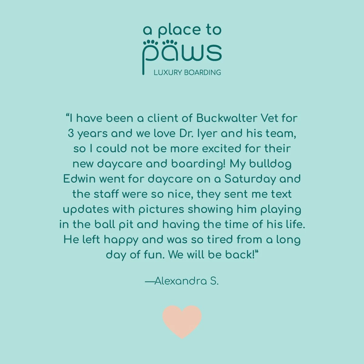 A testimonial card for a luxury pet daycare called 'a place to paws' featuring a quote from a client about their positive experience with Dr. Iyer and his team at Buckwalter Vet, praising the care their bulldog Edwin received during daycare and showi