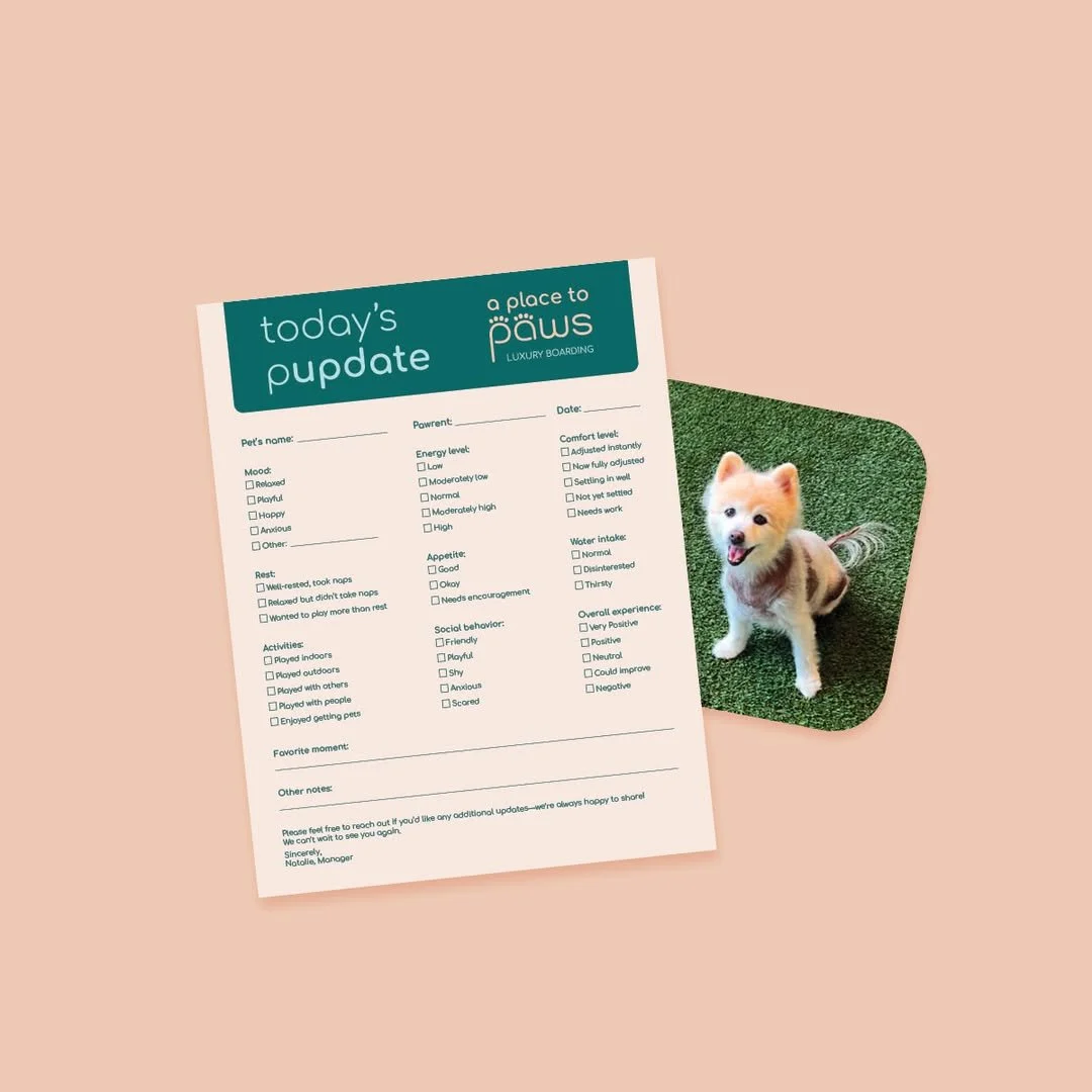A pet care form titled "today's pupdate" next to a photo of a small fluffy dog sitting on green grass. A Place To Paws Luxury Boarding and Doggy Daycare in Bluffton, South Carolina