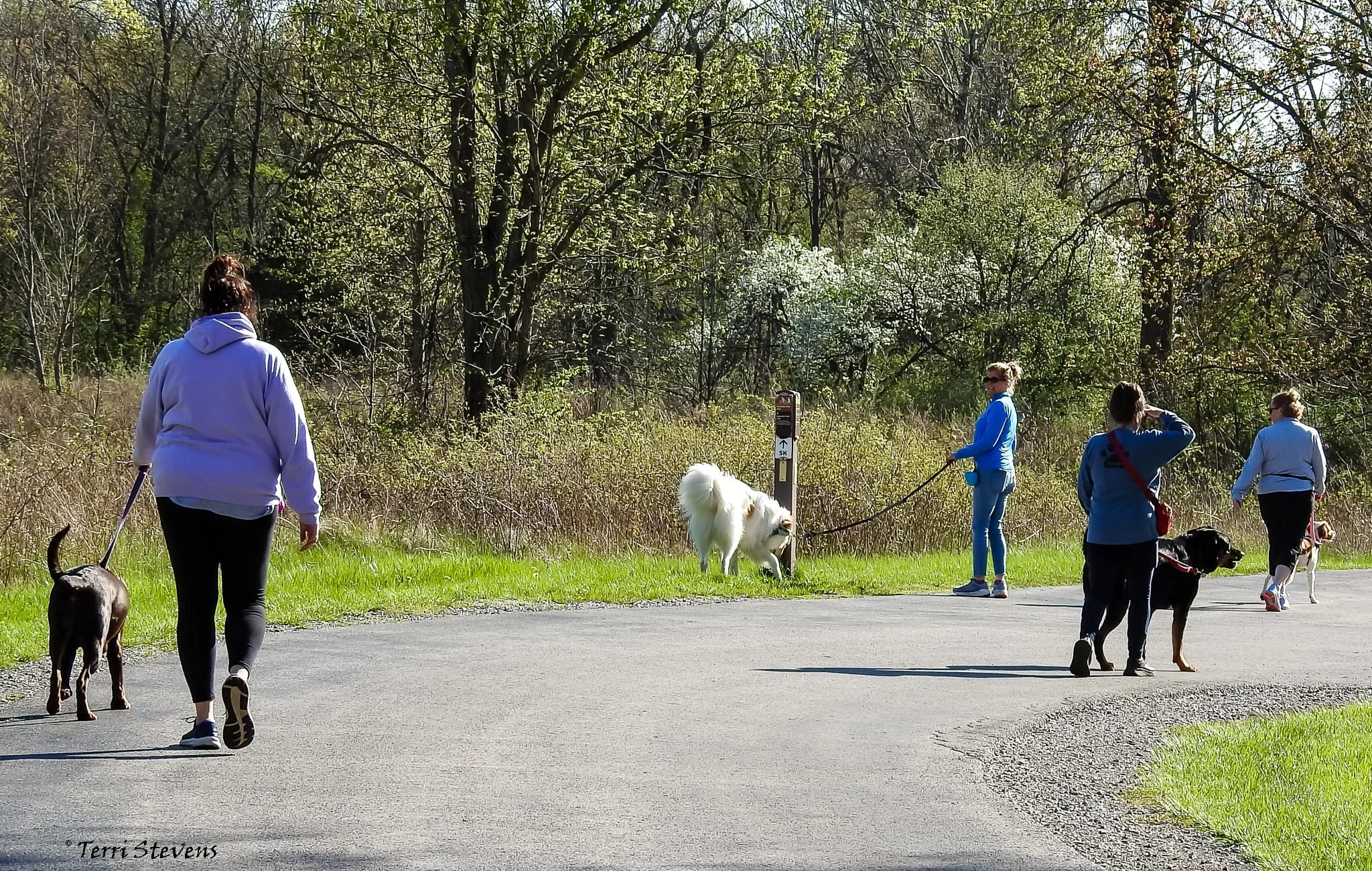 Group Walk 9/28/25