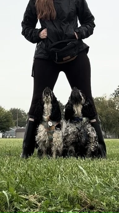 Dog Walking- 10 Sesson Package