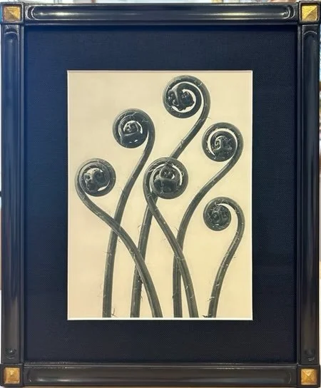 Close-up of decorative metal wrought iron design with spirals and curved lines.