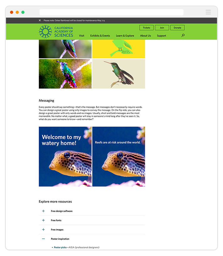 dxd_web-resources_2.png
