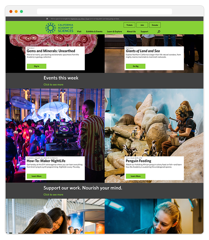 homepage-new-inchrome-2.png