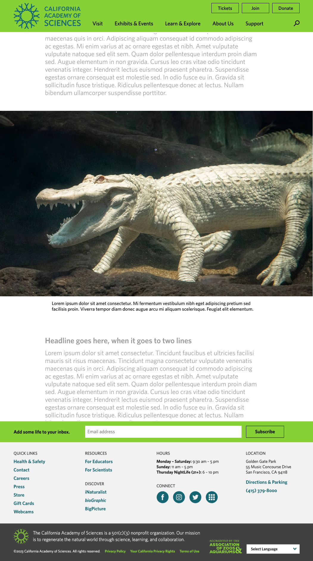 Image_XL_desktop - final.png