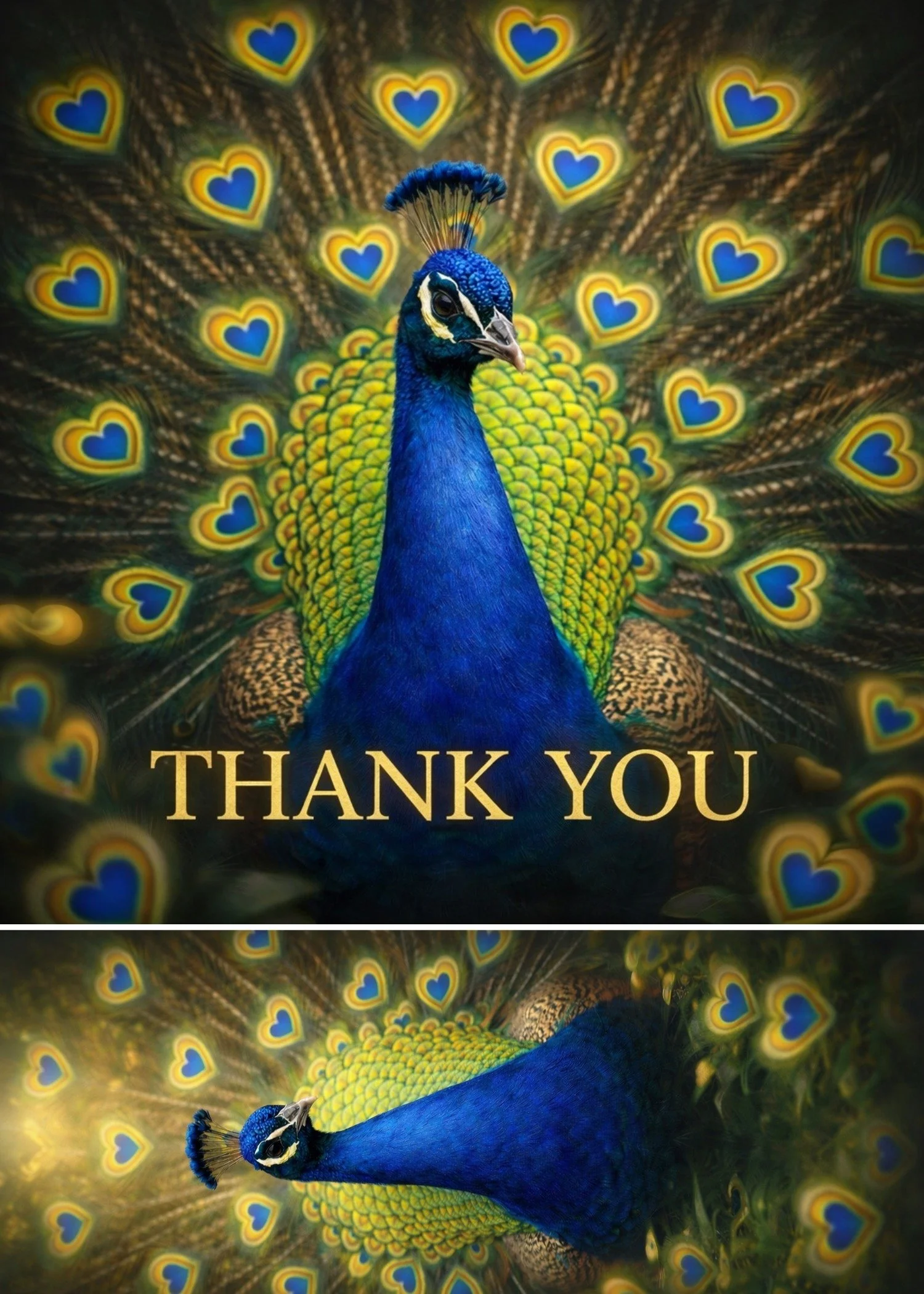 Thank you greeting card featuring a vibrant peacock with heart-shaped feather details in rich blue and gold tones, elegant whimsical illustrated style, handmade micro art greeting