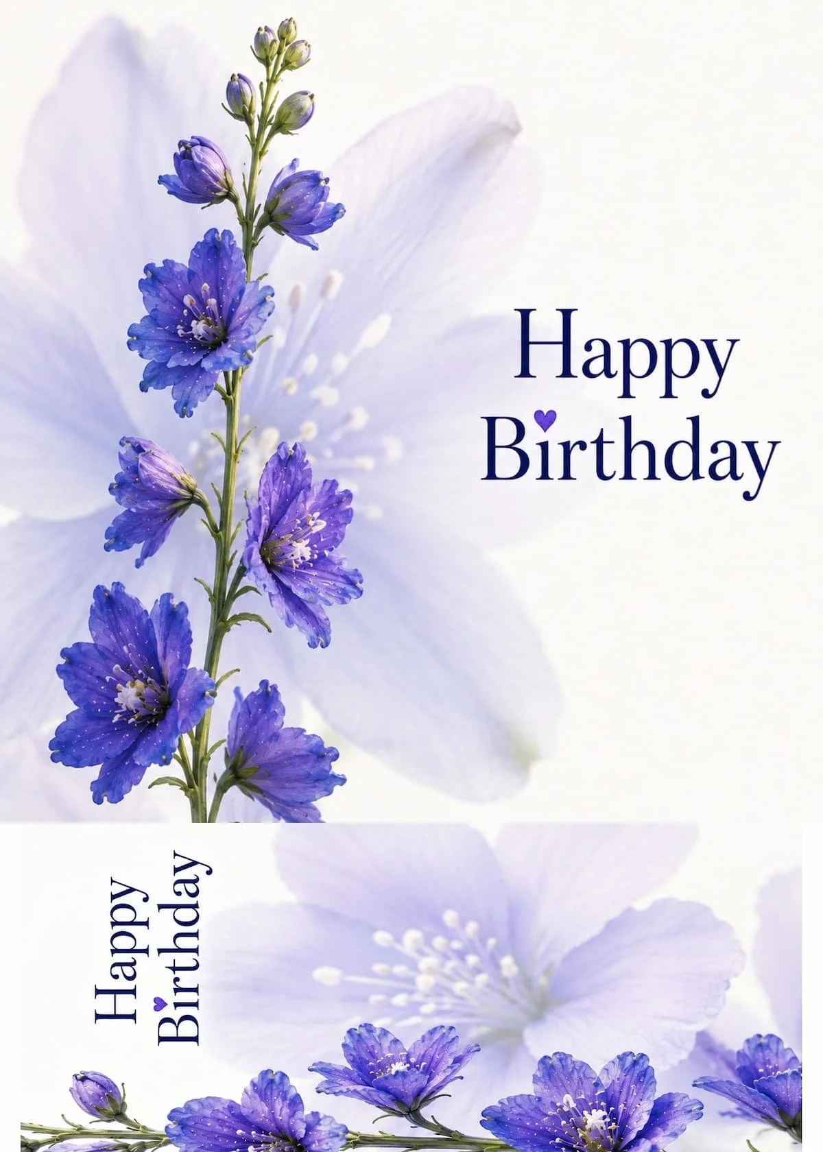 july-larkspur-birthday-card.jpg