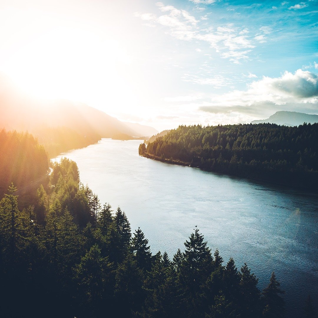 Sunrise over a the Columbia River surrounded by dense green forests and mountains in the distance.