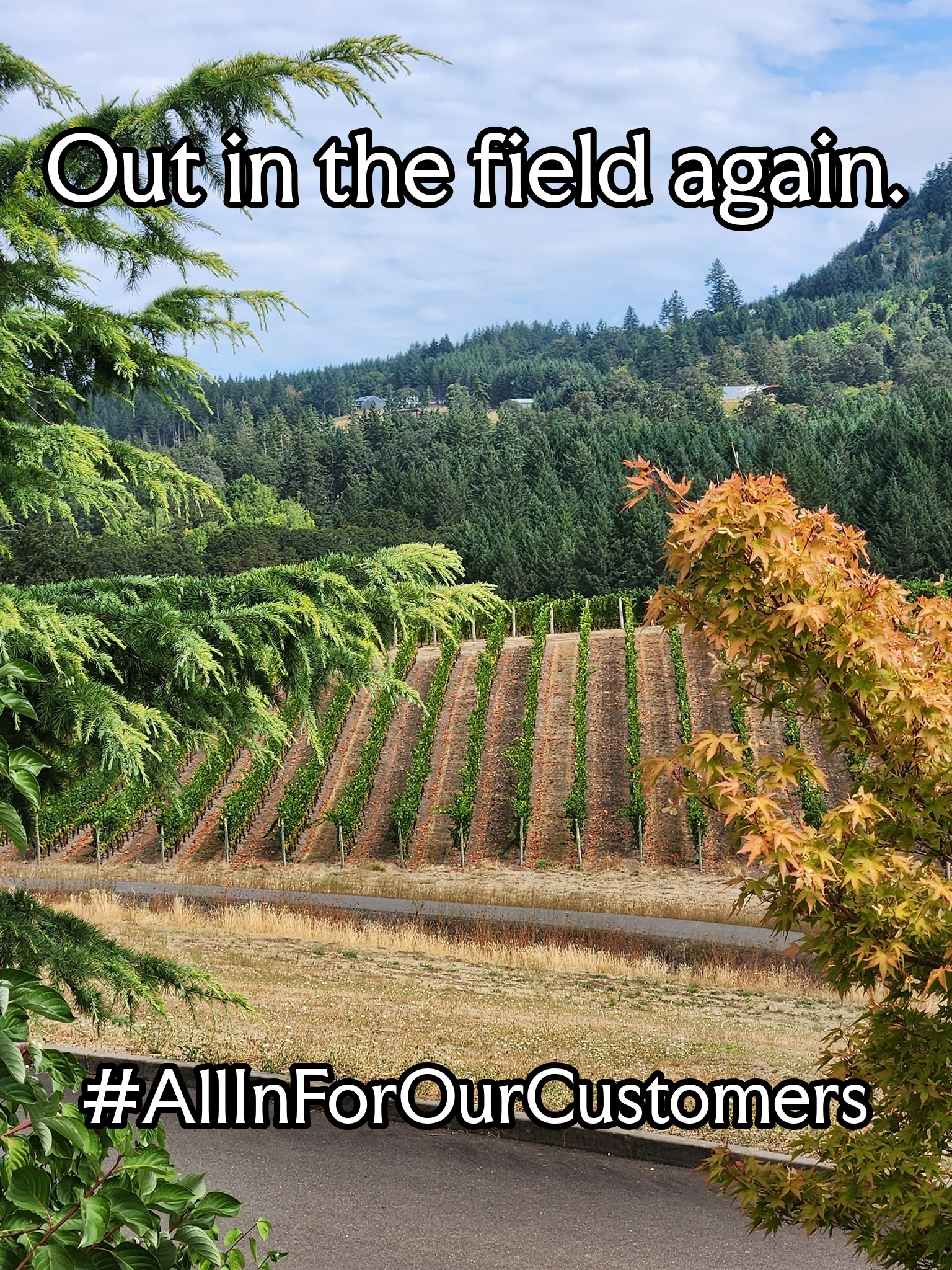 Scenic view of a vineyard with rows of grapevines on a hillside, surrounded by lush trees and mountains in the background, with the text 'Out in the field again. #AllInForOurCustomers' overlaid.