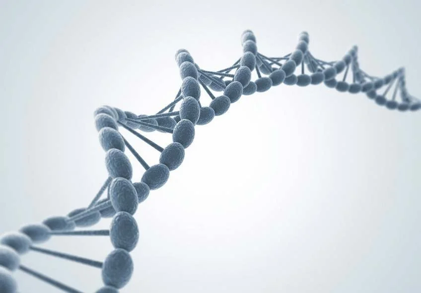 Close-up illustration of a DNA double helix with a light background.
