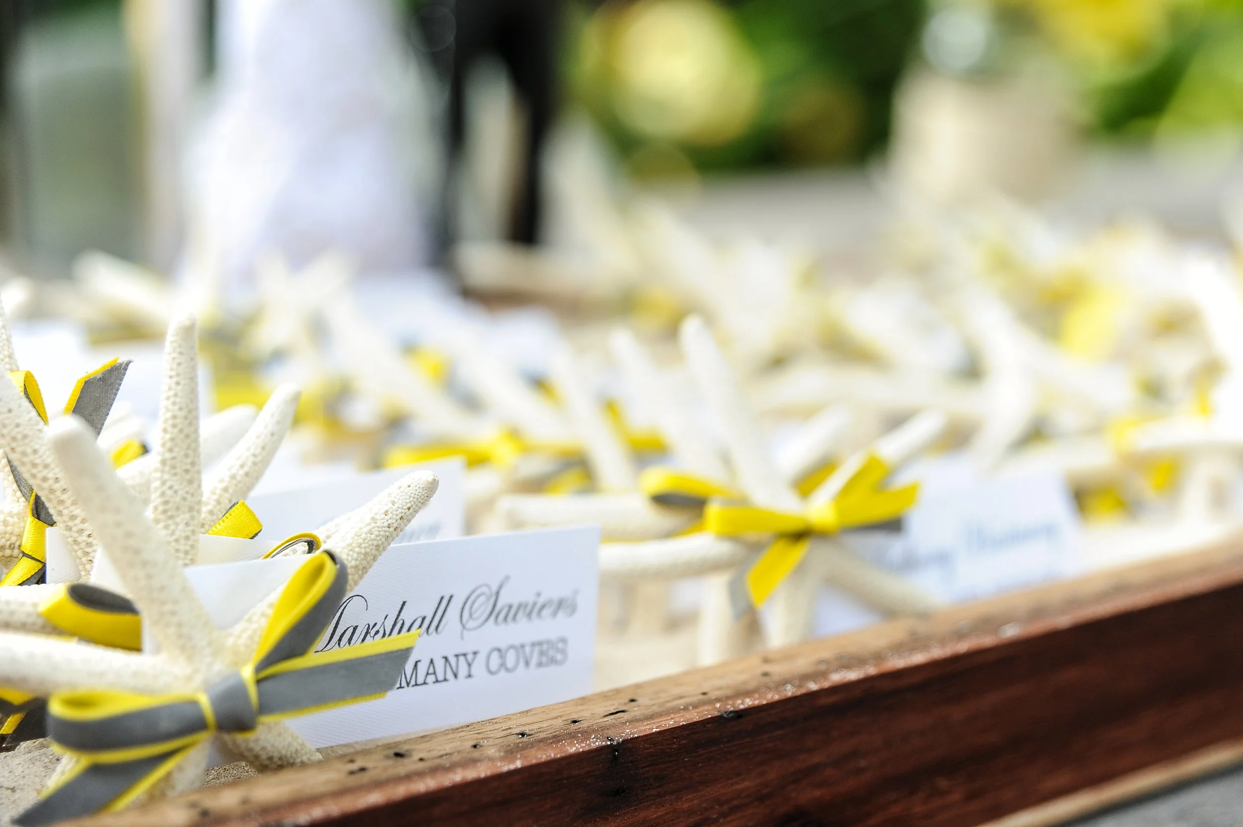 M&D Viva Photography Weddings CD-65.jpg