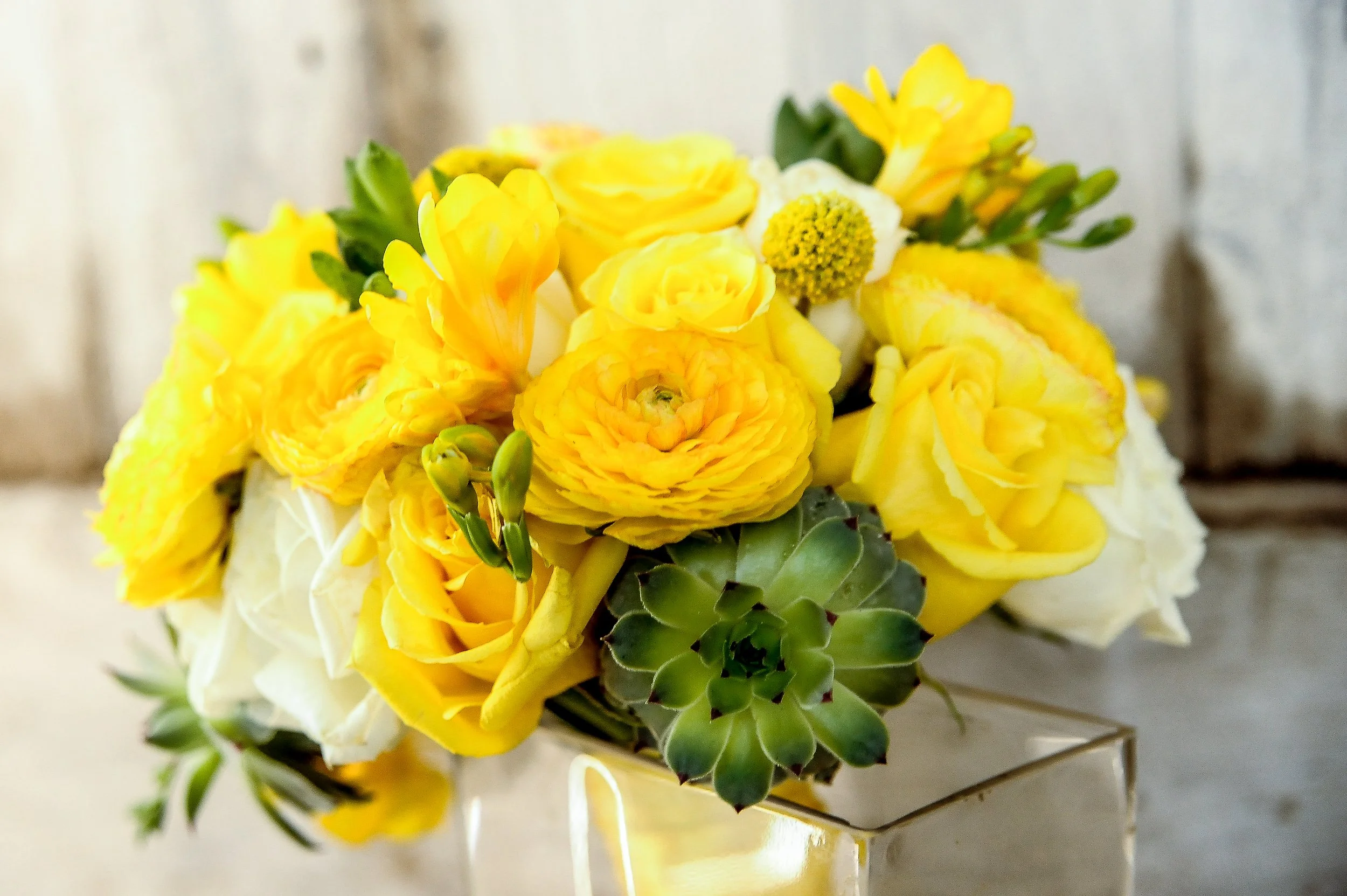 M&D Viva Photography Weddings CD-12.jpg