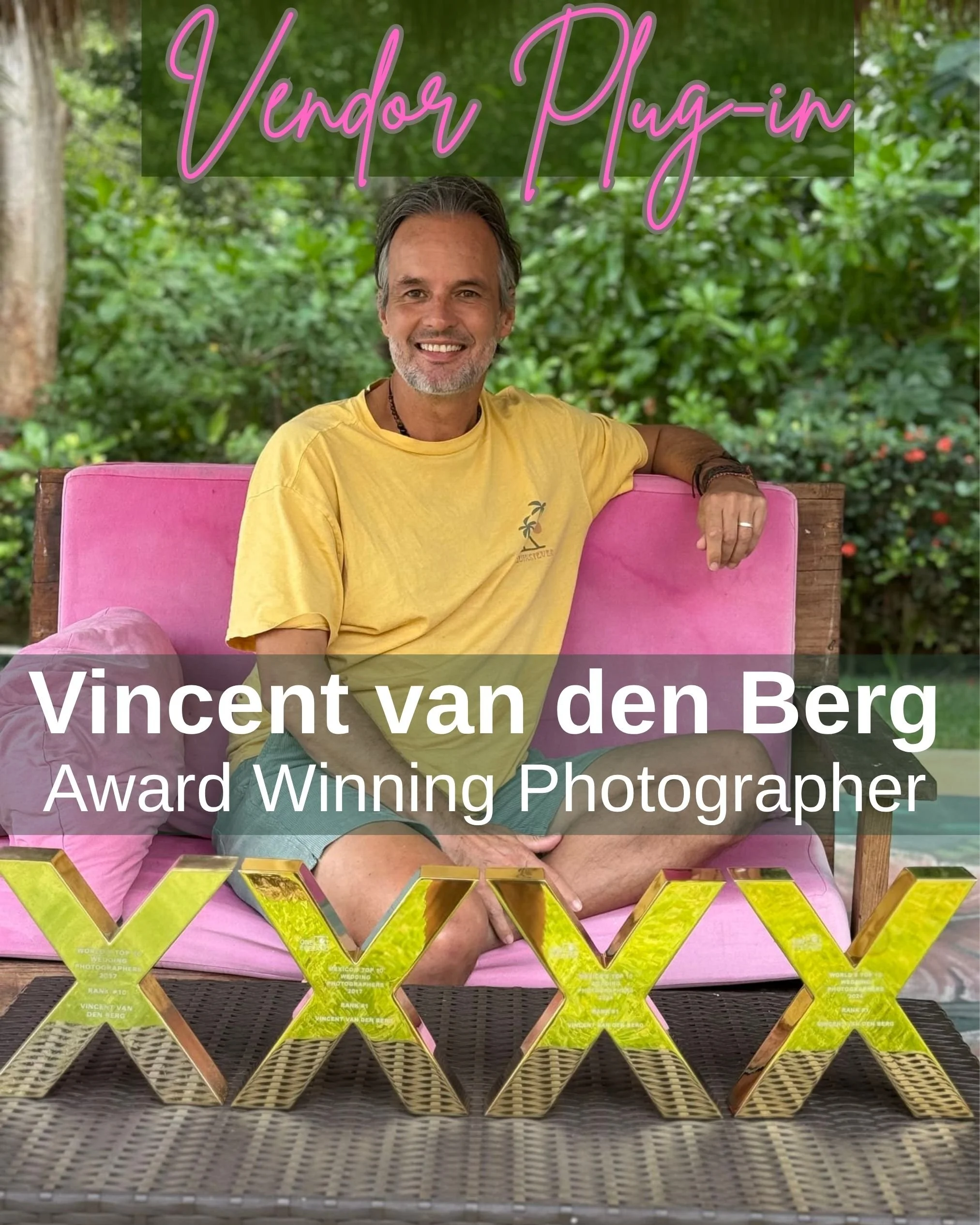 Vendor Plug-in Vincent van den Berg